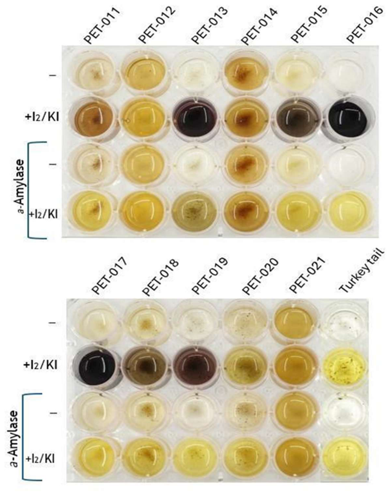 Preprints 238309 g004 Preprints 238309 g004