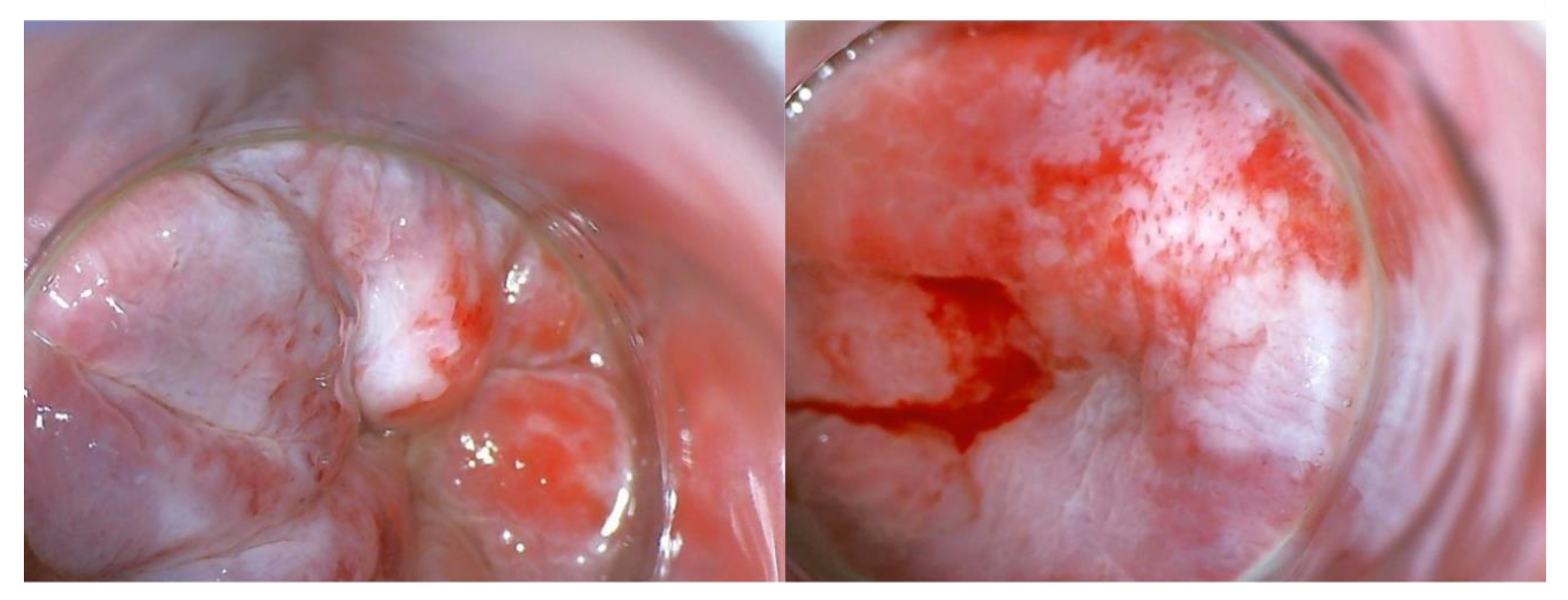 Preprints 73593 g002