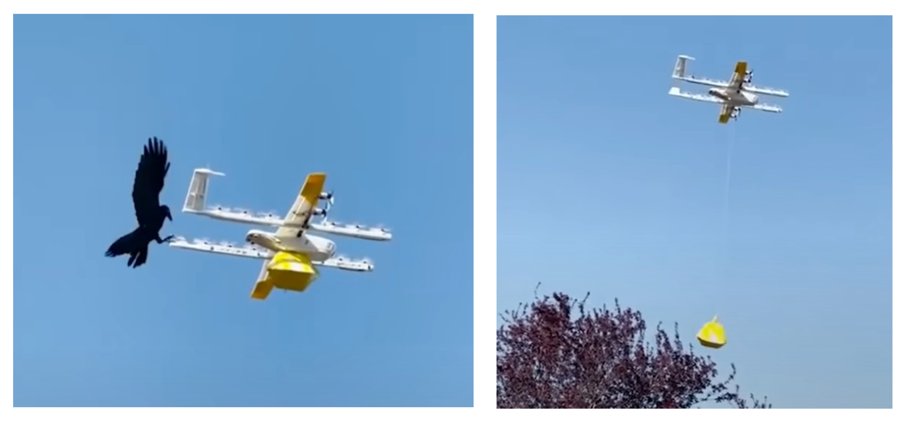 Preprints 156068 g002