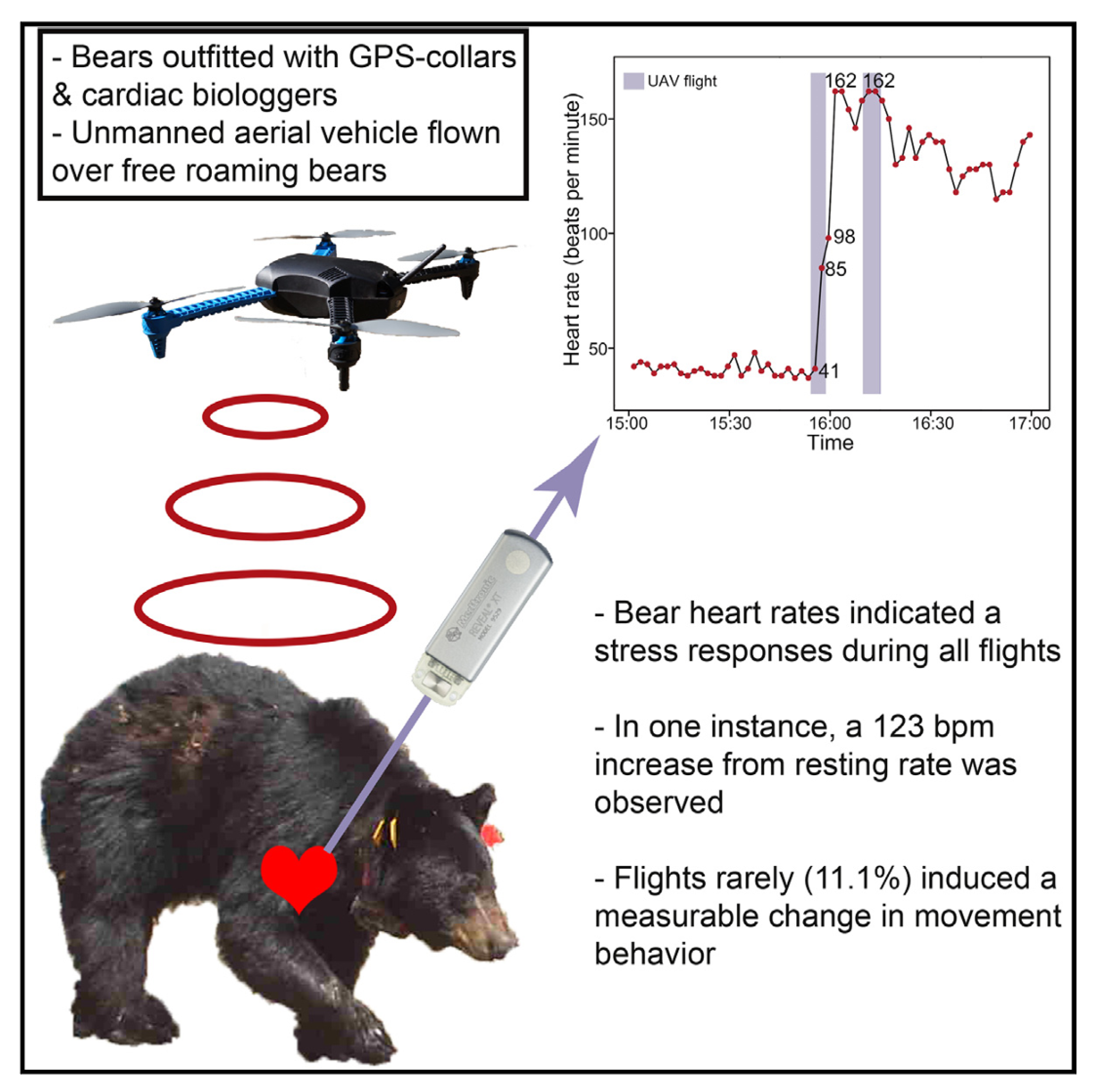 Preprints 156068 g006