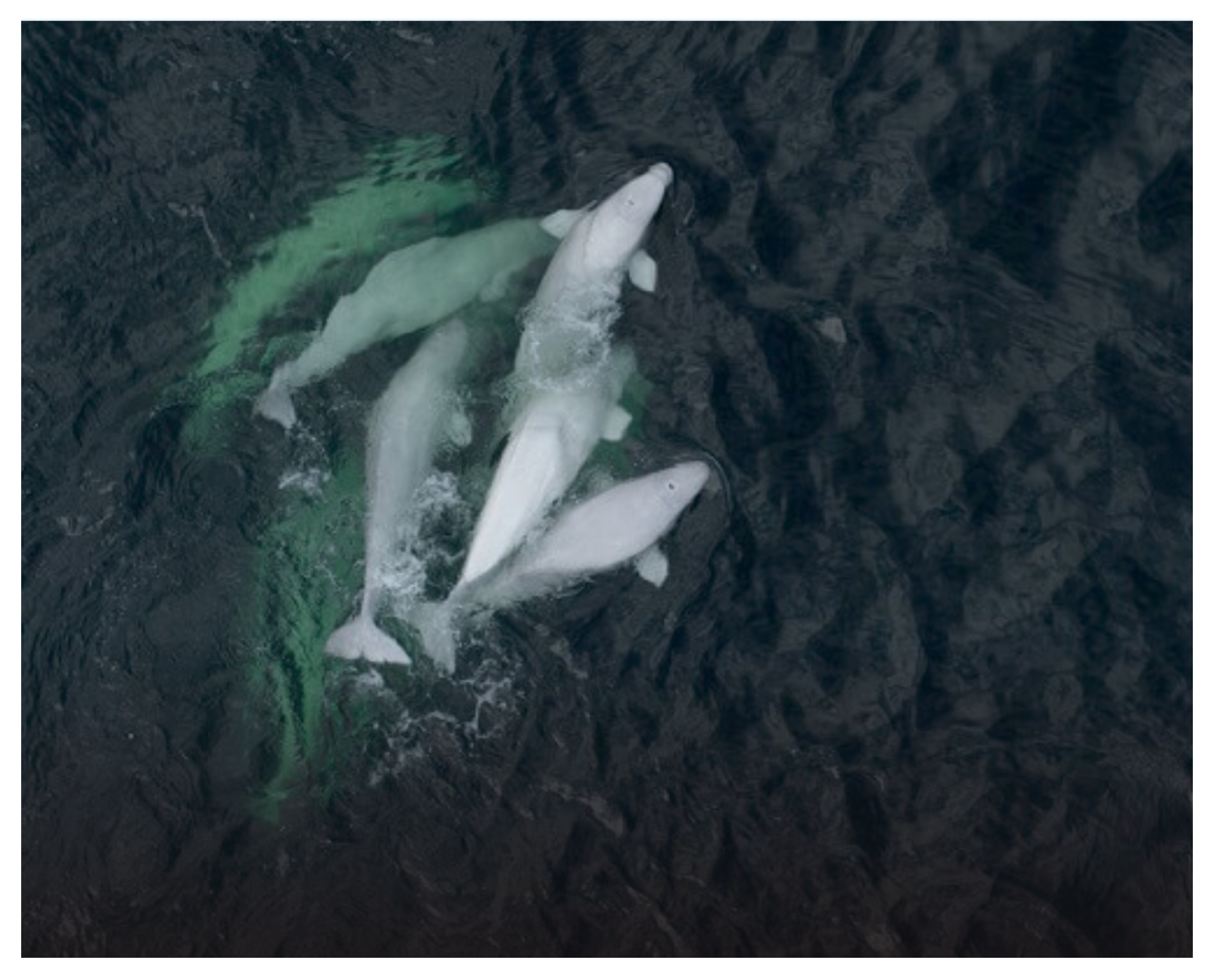 Preprints 156068 g007