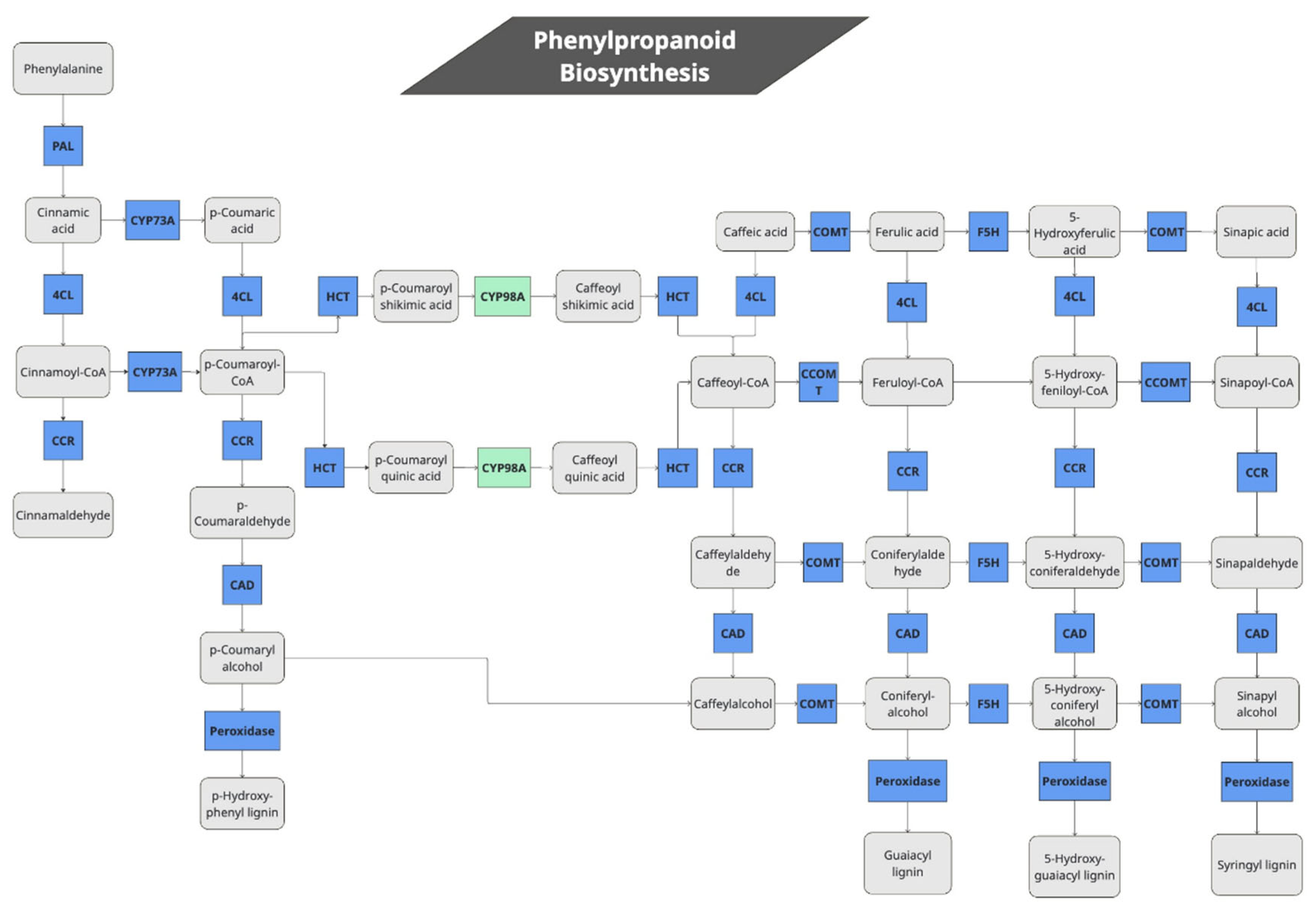 Preprints 158777 g003