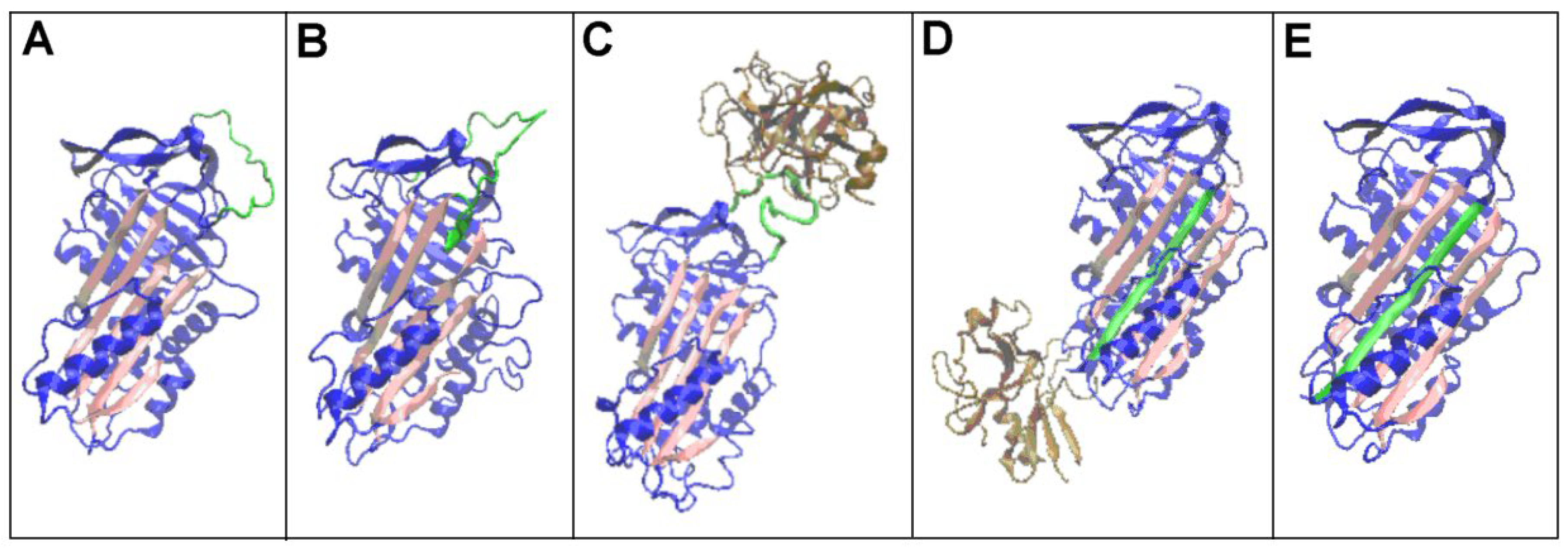 Preprints 178235 g002
