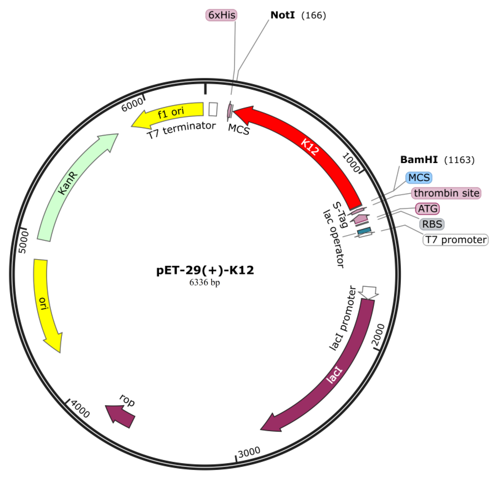 Preprints 161181 g007