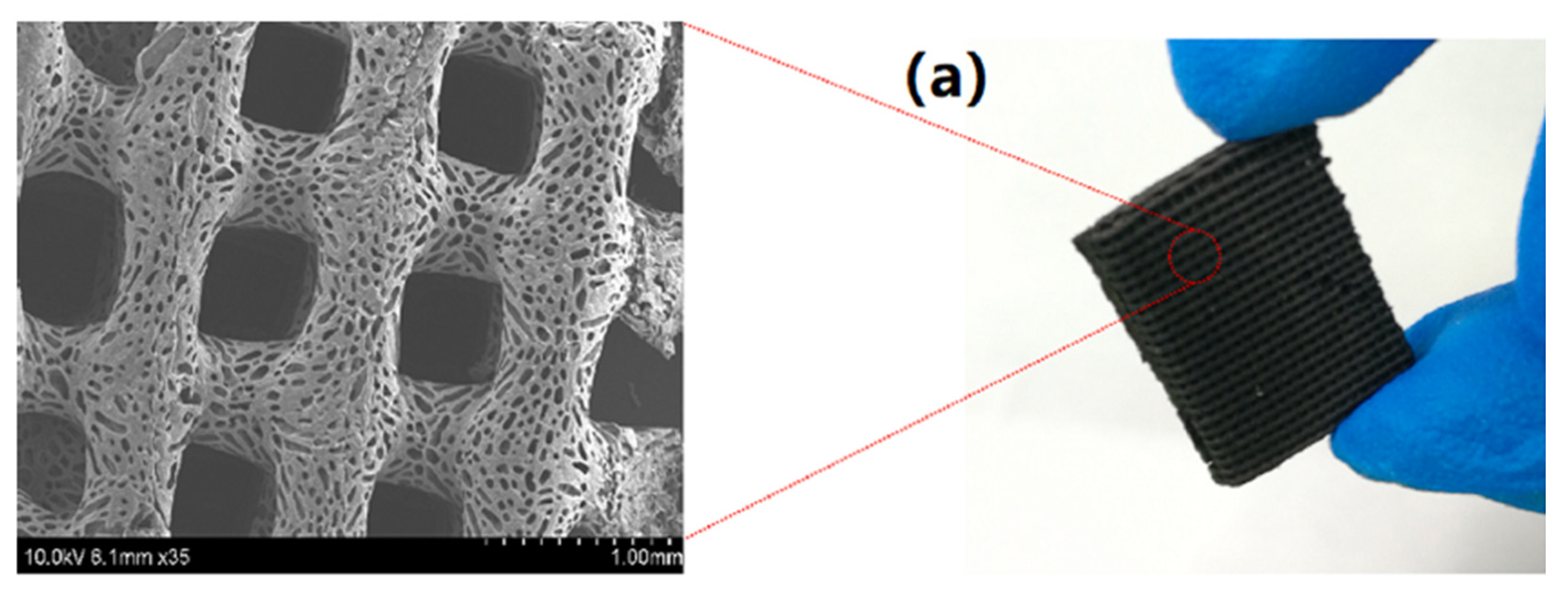 Preprints 92321 g017