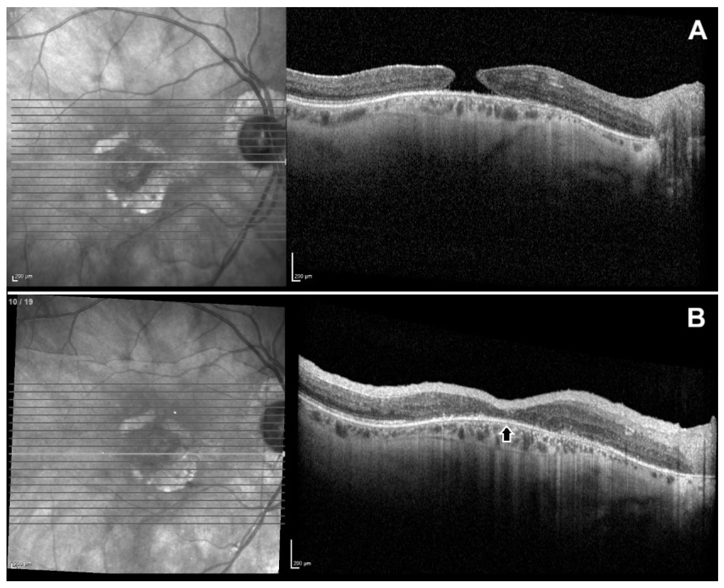 Preprints 194046 g001