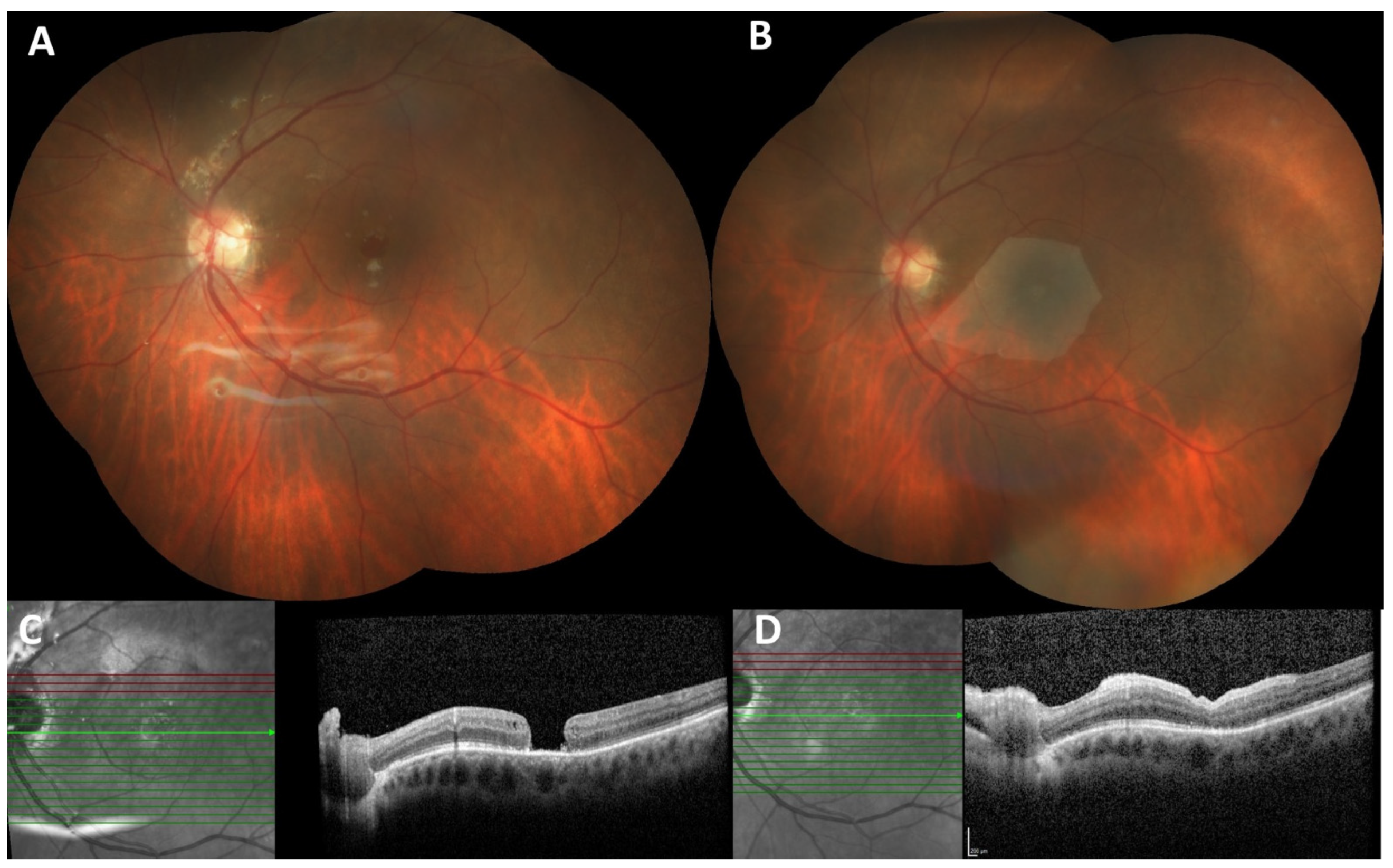 Preprints 194046 g002