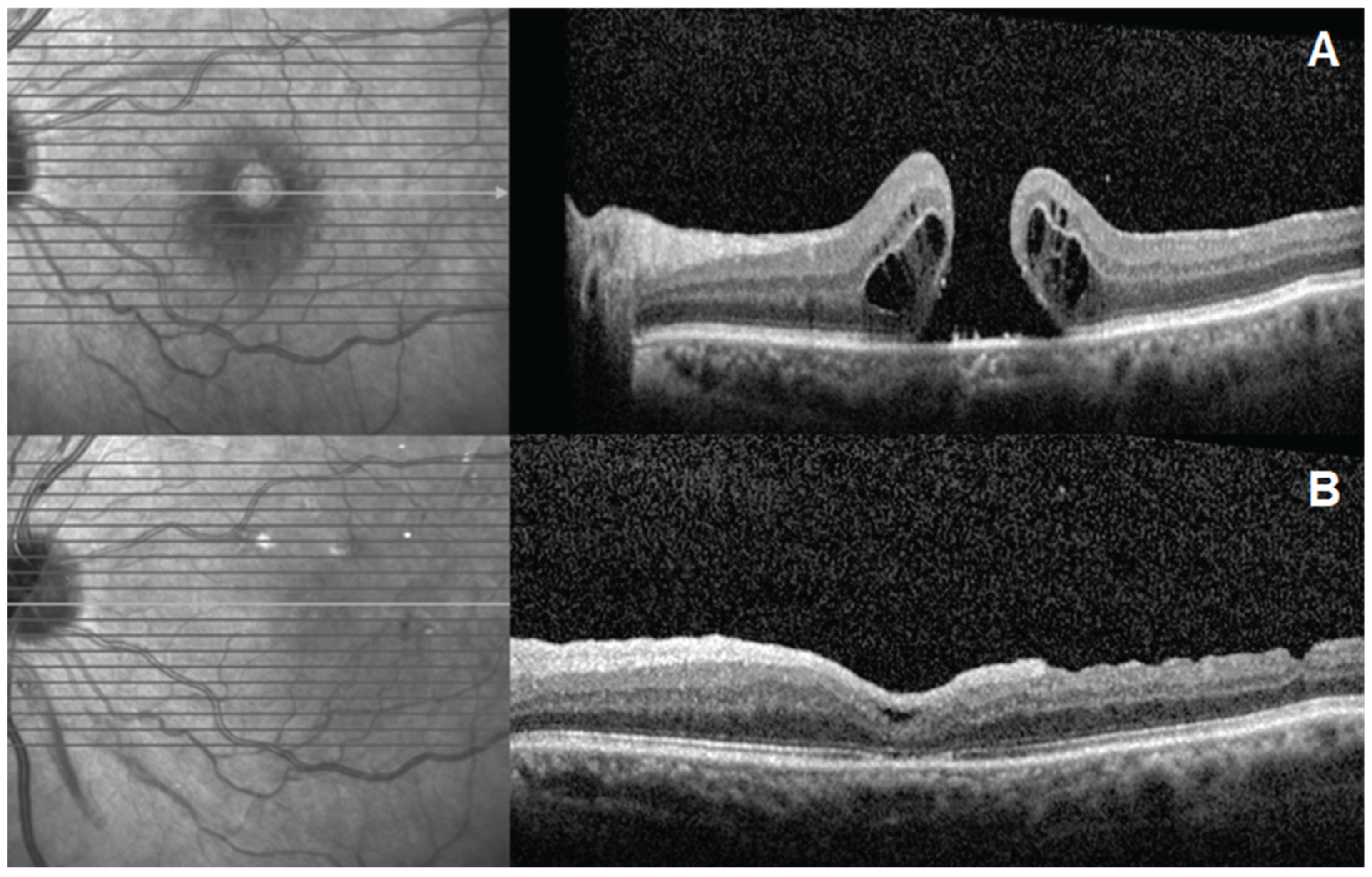 Preprints 194046 g003