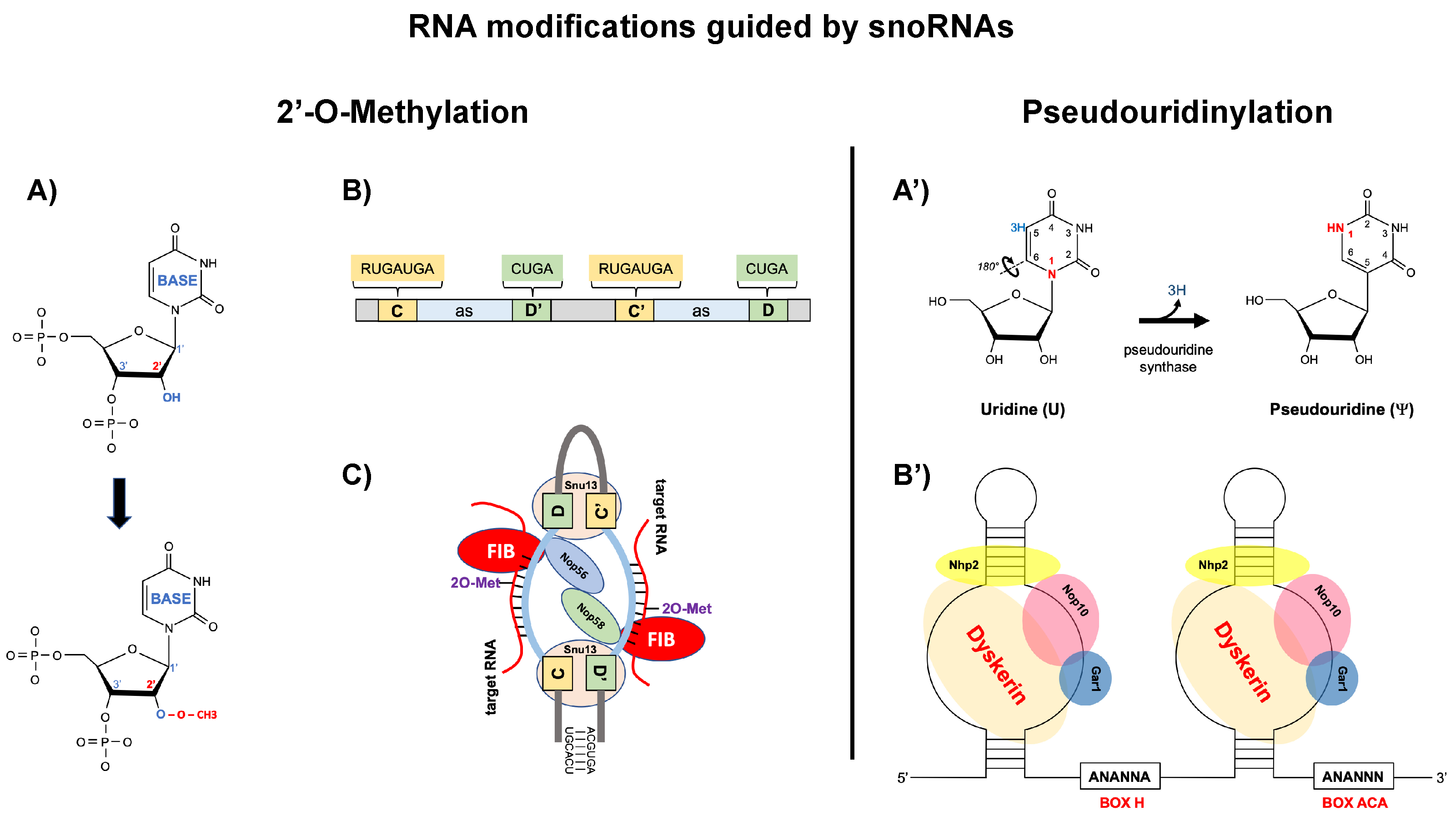 Preprints 183711 g001