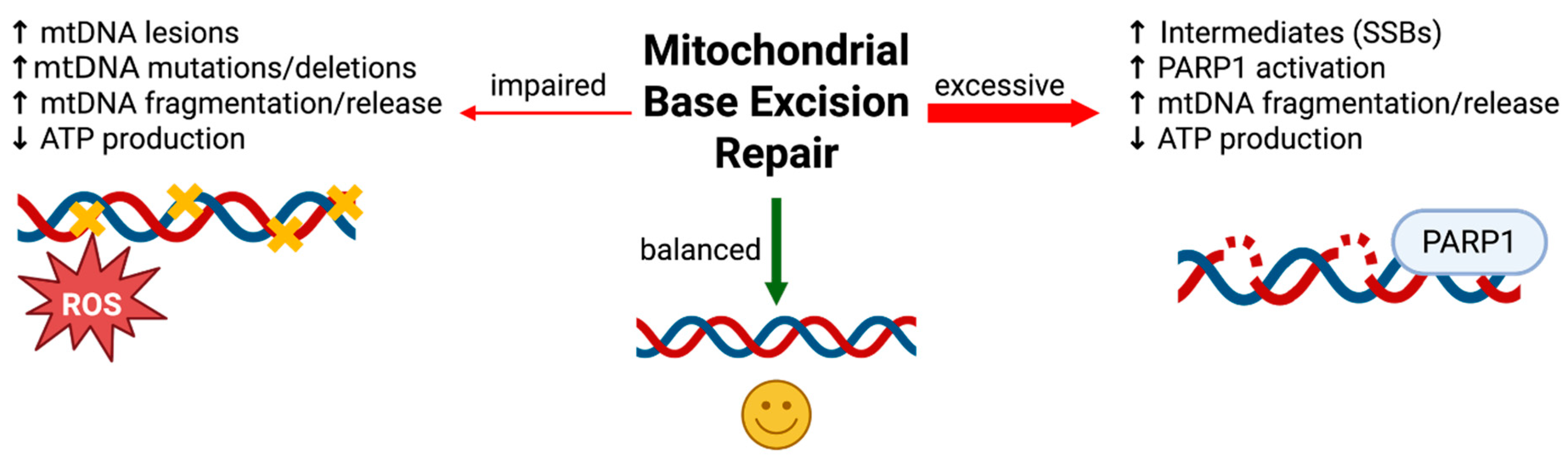 Preprints 190593 g002