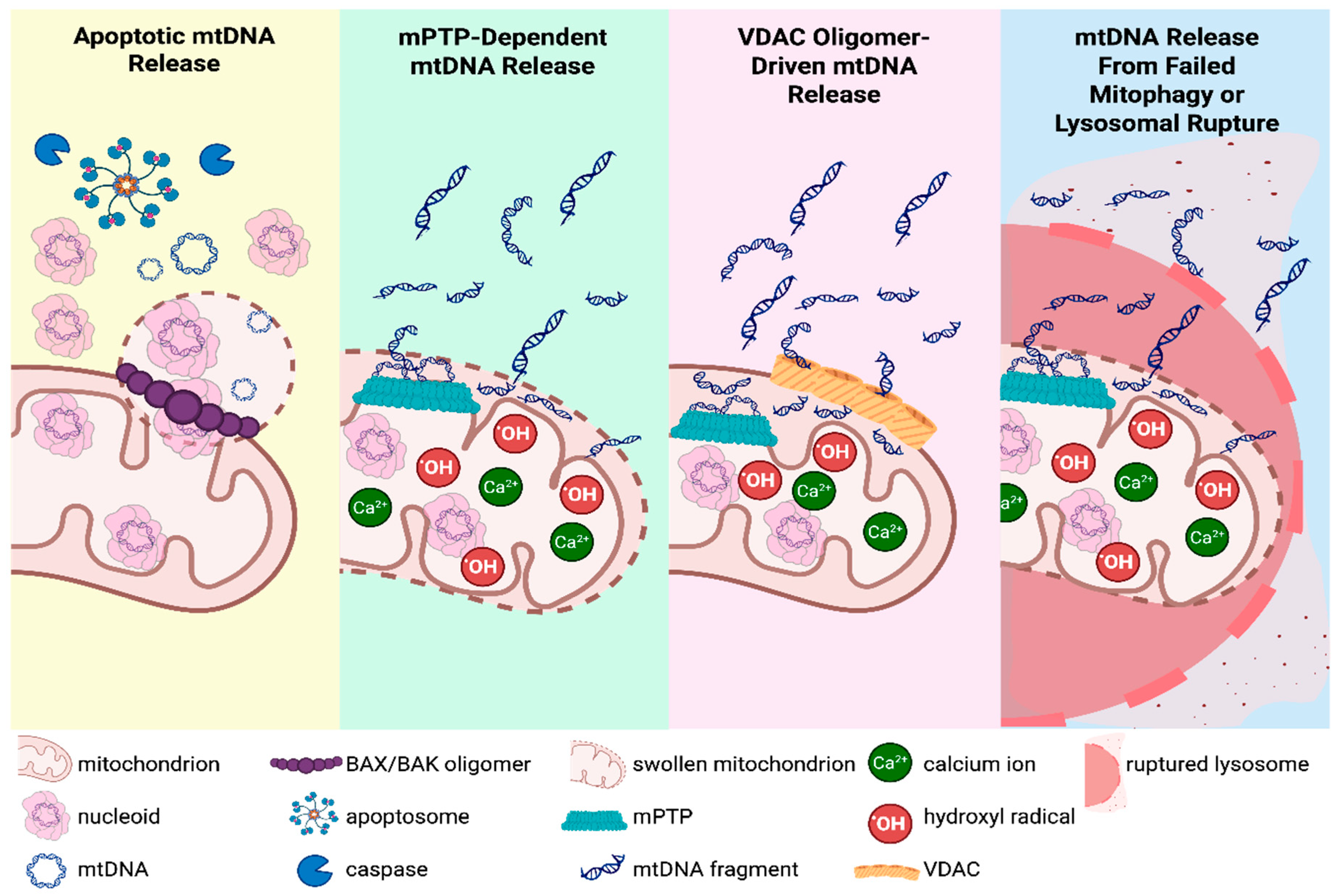 Preprints 190593 g003