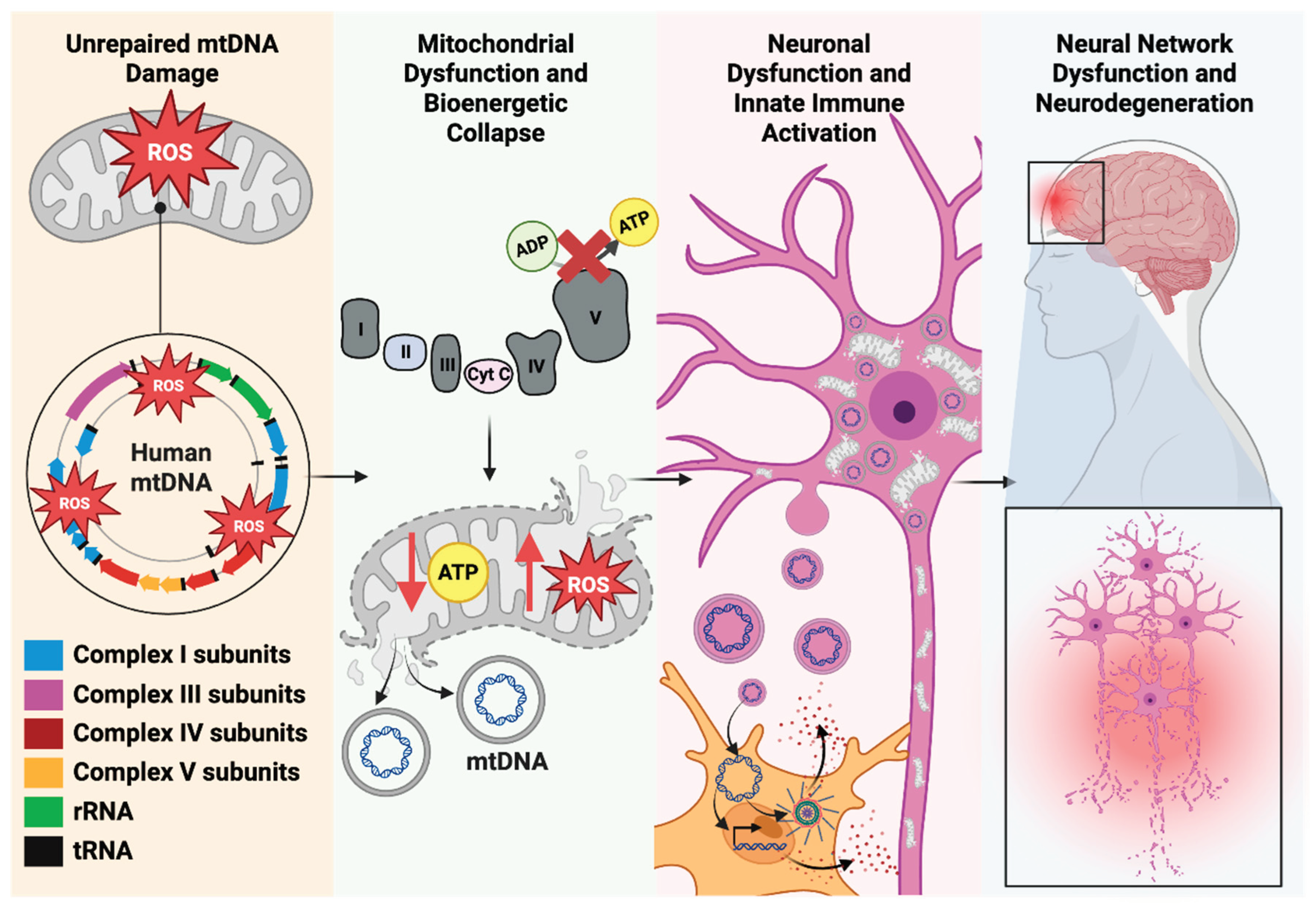 Preprints 190593 g004