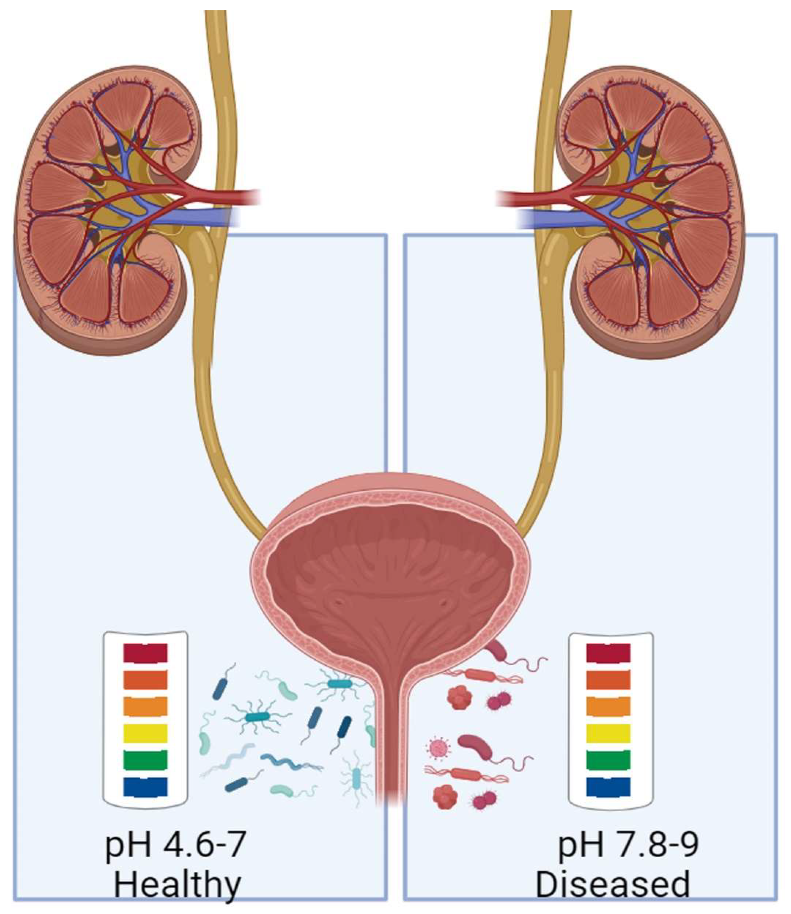 Preprints 137643 g001