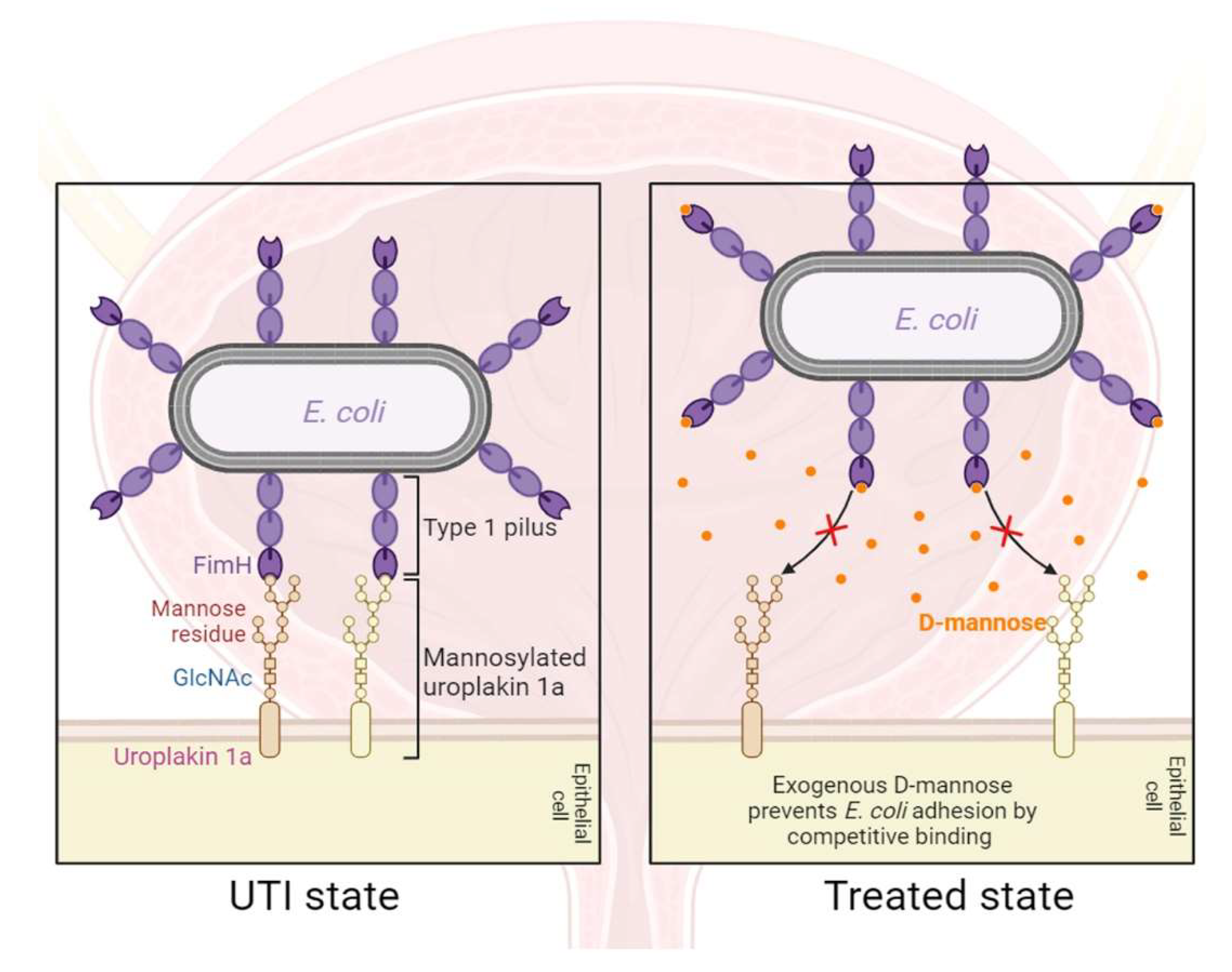 Preprints 137643 g002