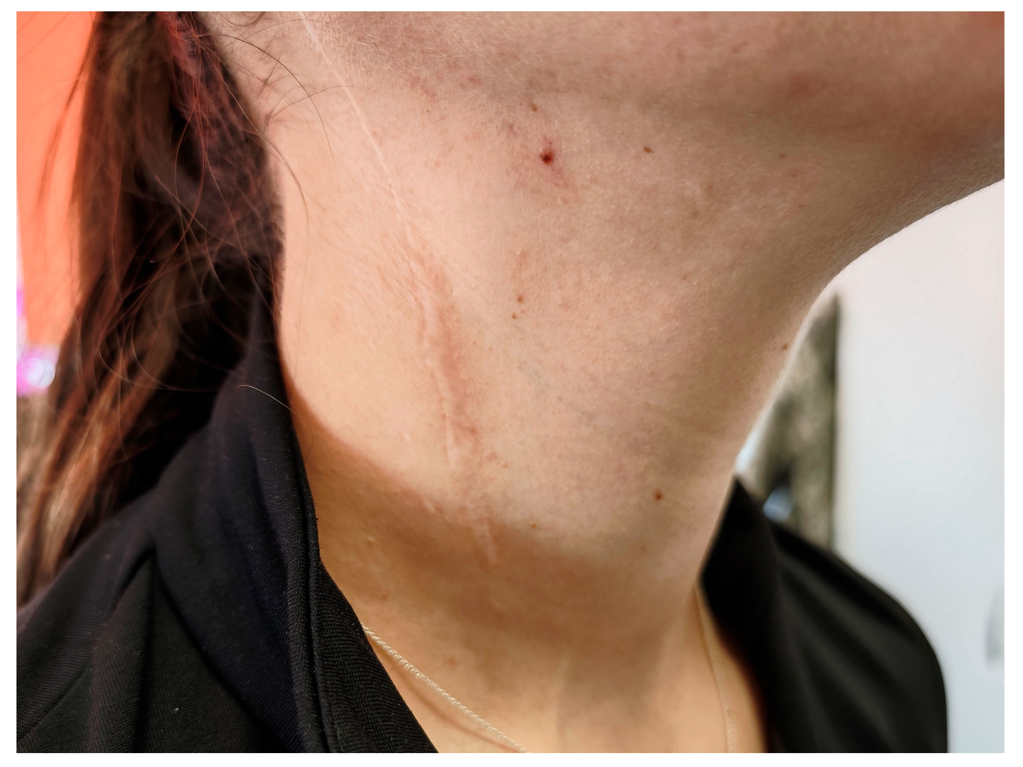 Preprints 172623 g001