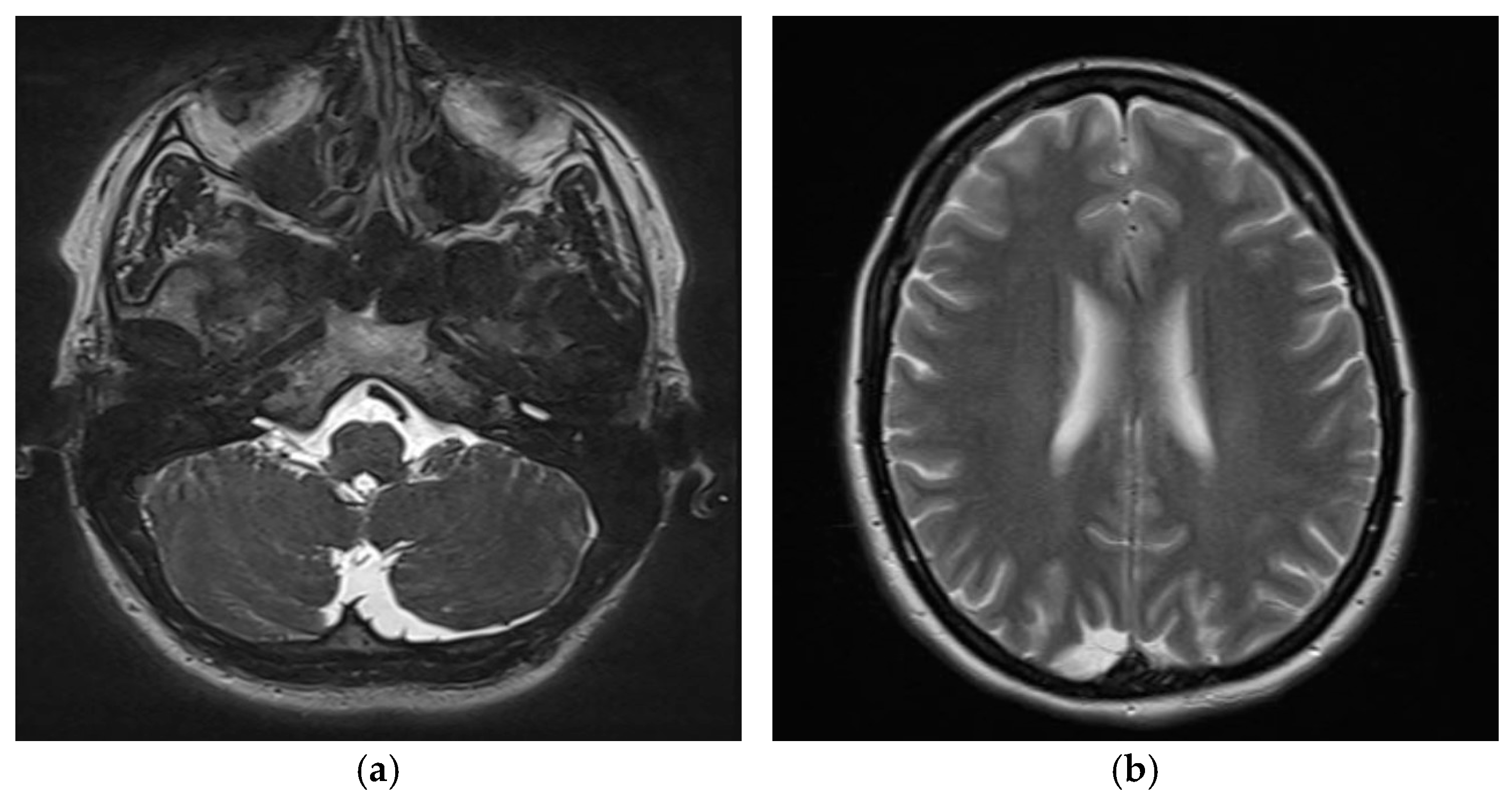 Preprints 172623 g010