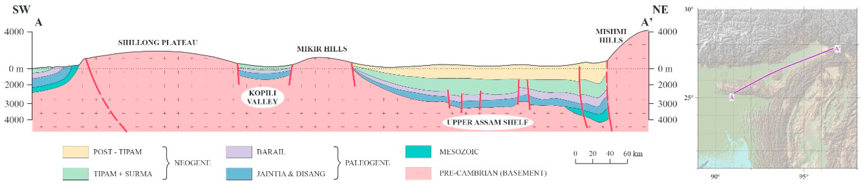 Preprints 142924 g002
