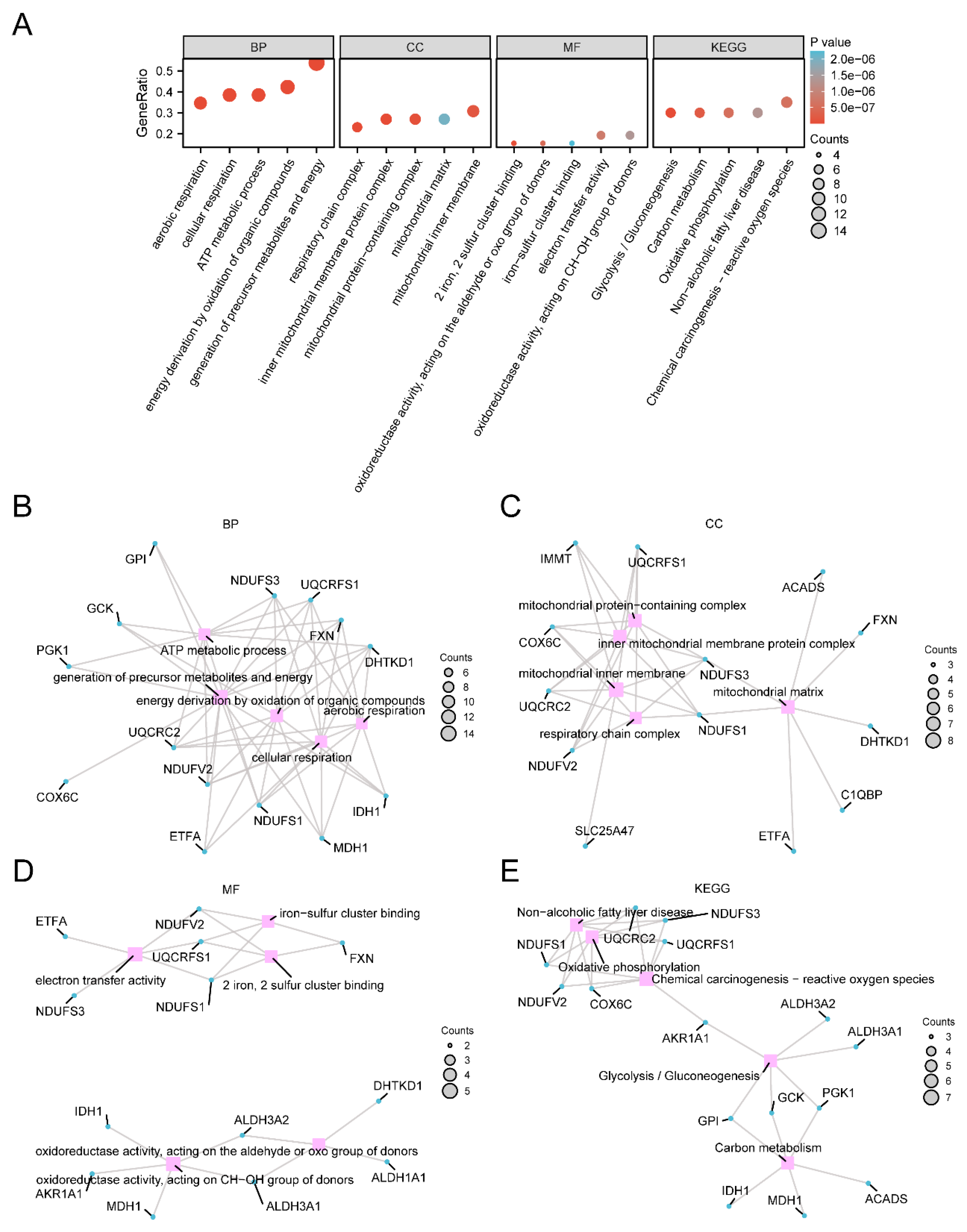 Preprints 145681 g003