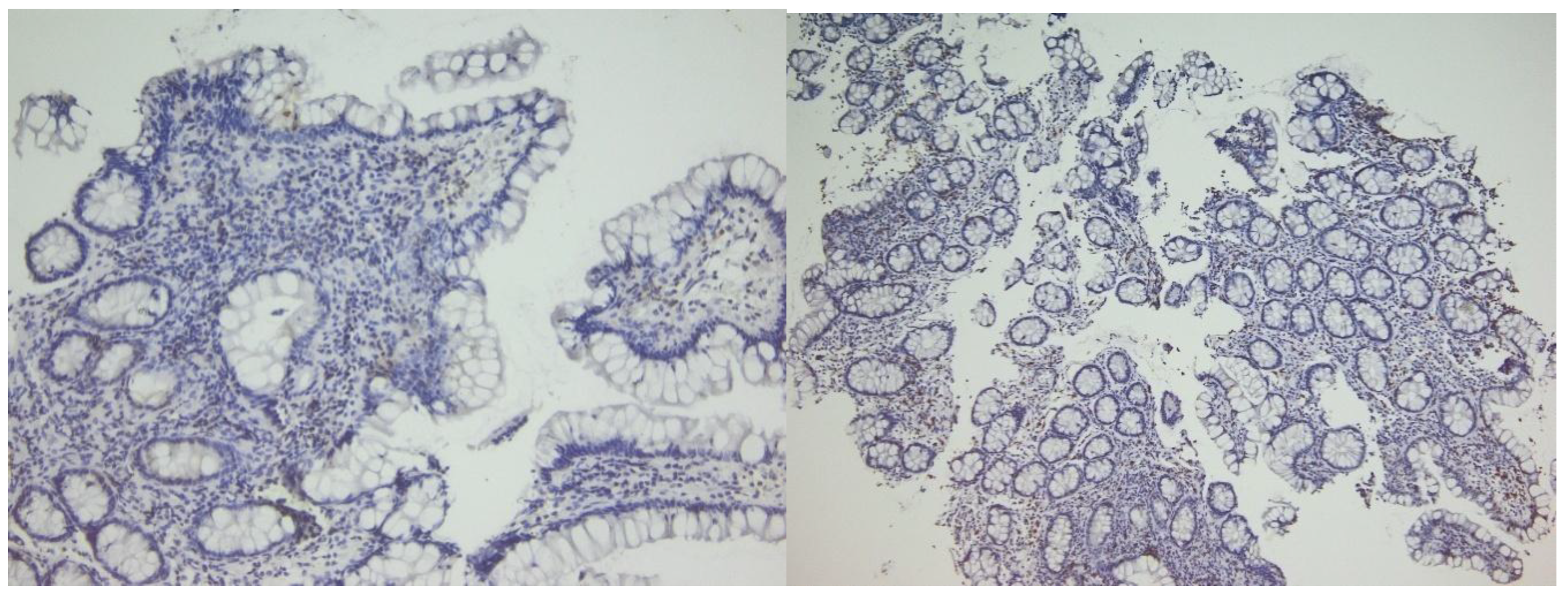Preprints 184690 g004