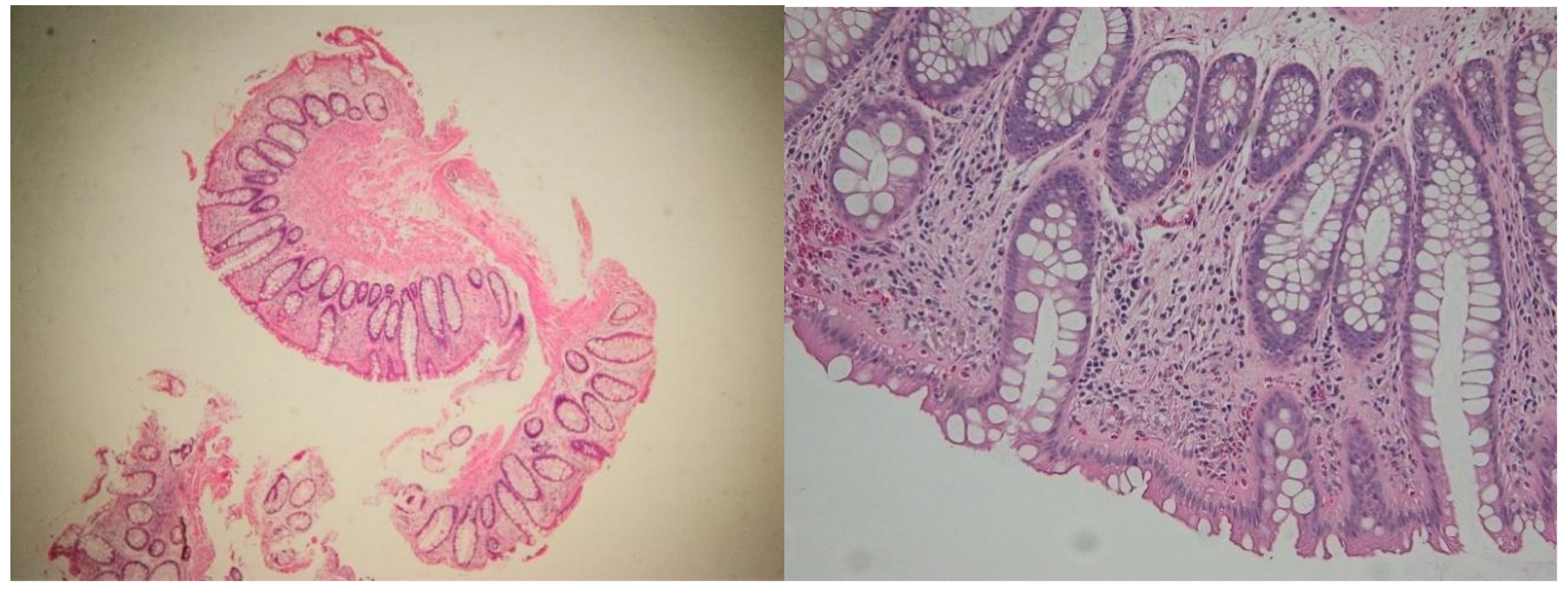 Preprints 184690 g006