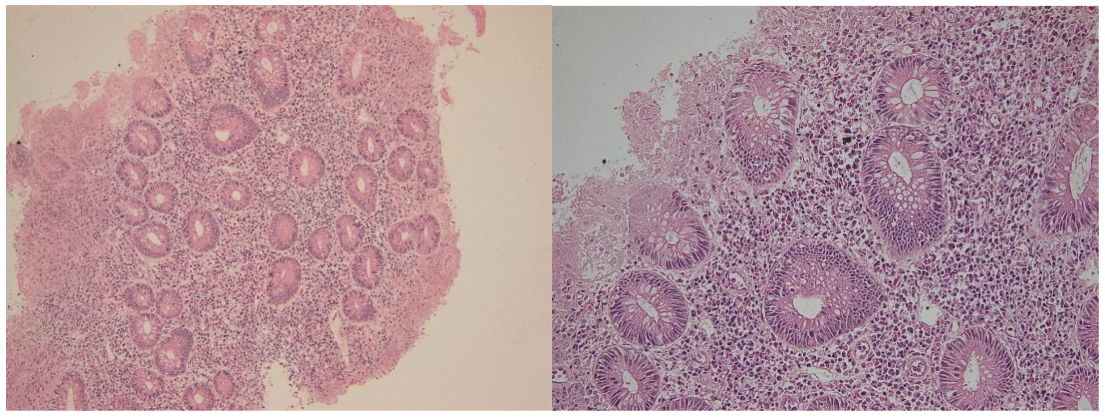 Preprints 184690 g007