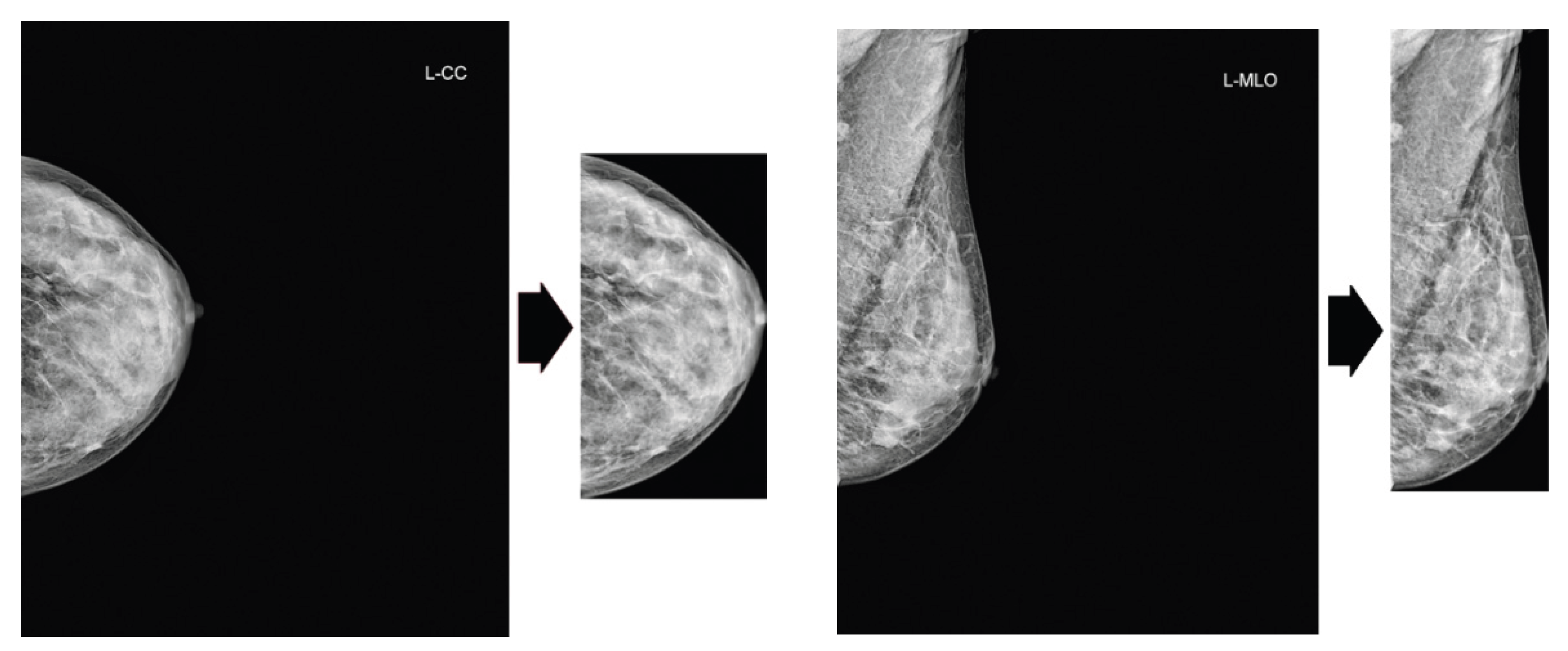 Preprints 192073 g002