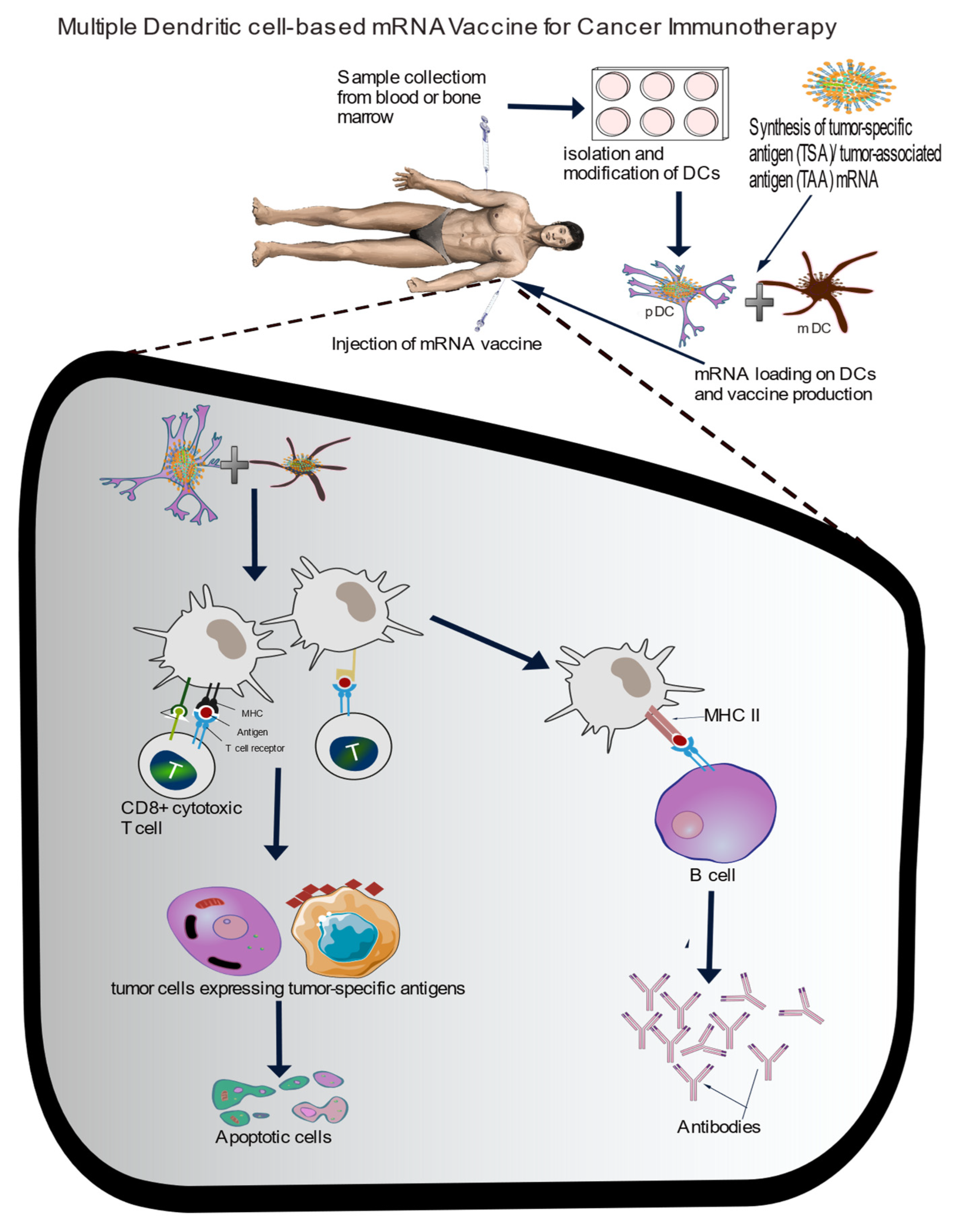 Preprints 158383 g003
