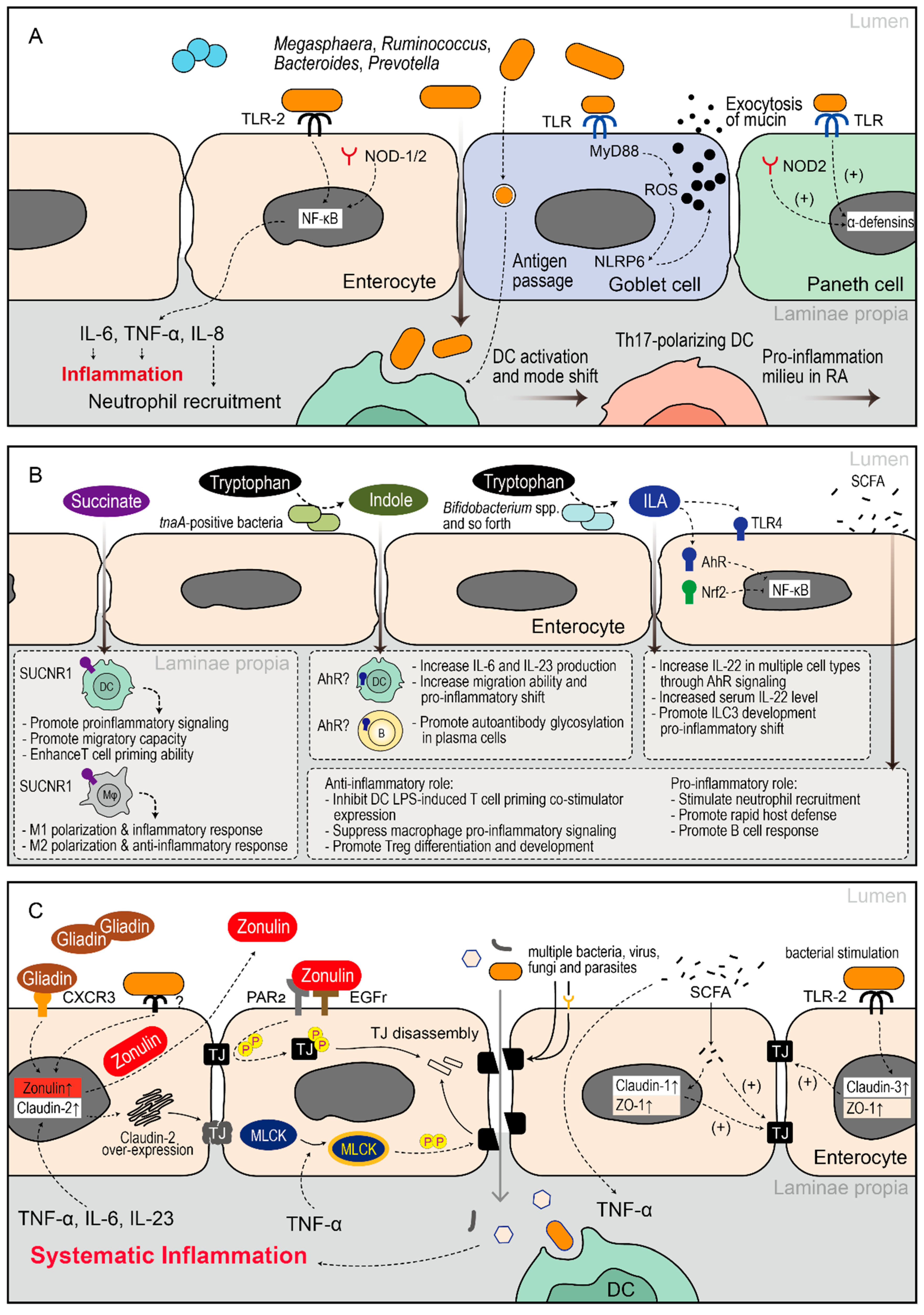 Preprints 199941 g003