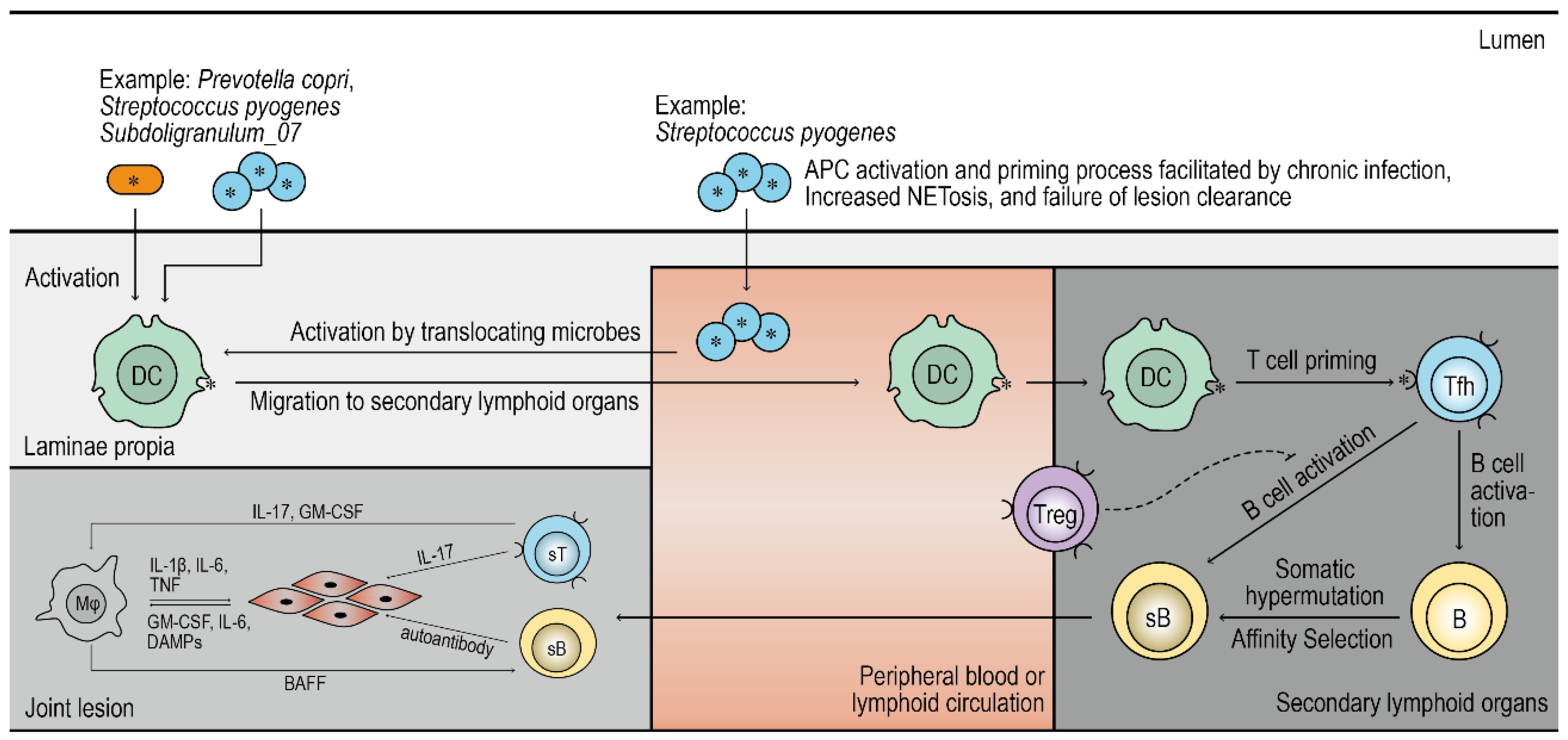 Preprints 199941 g004