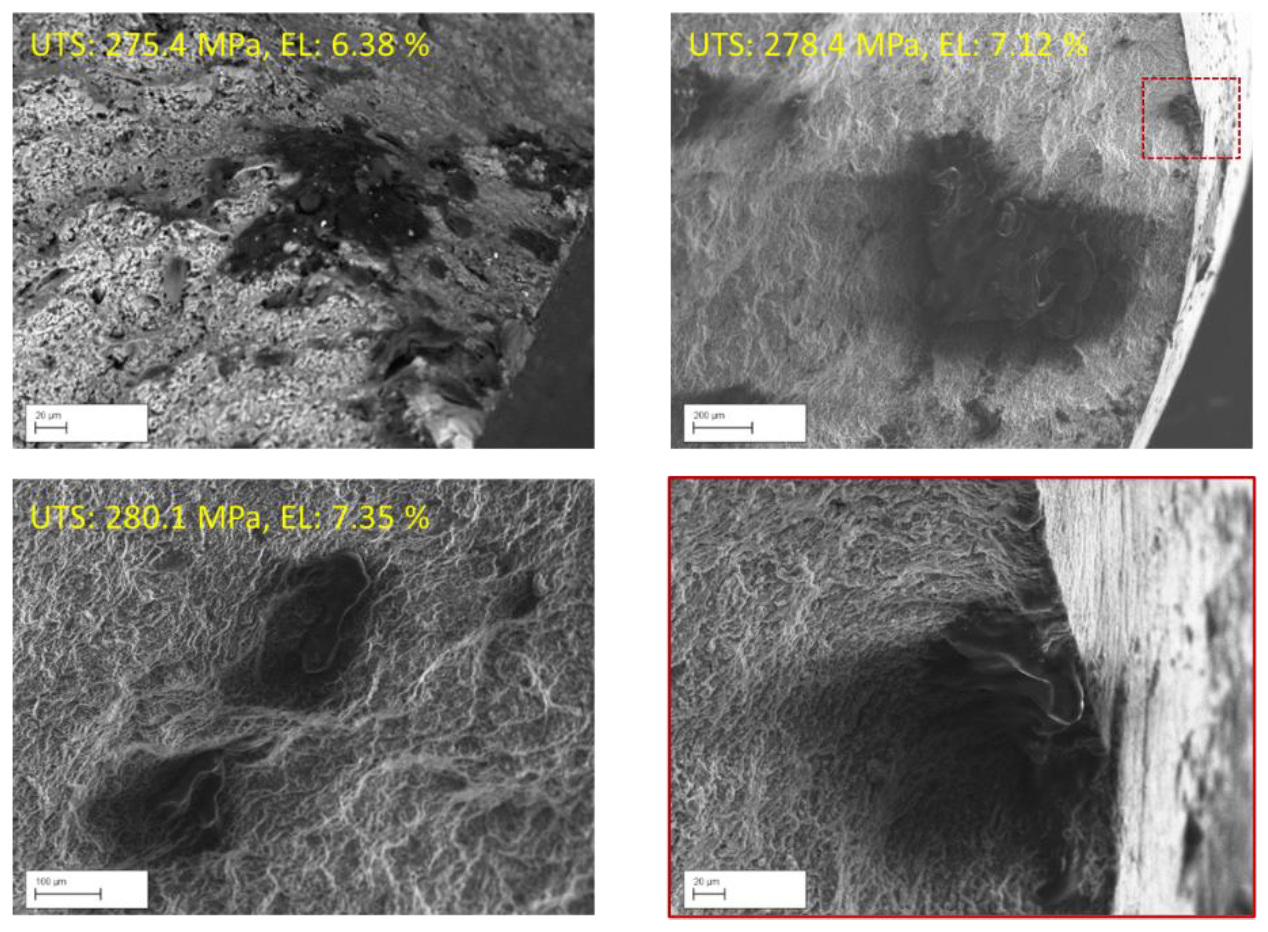 Preprints 142042 g003