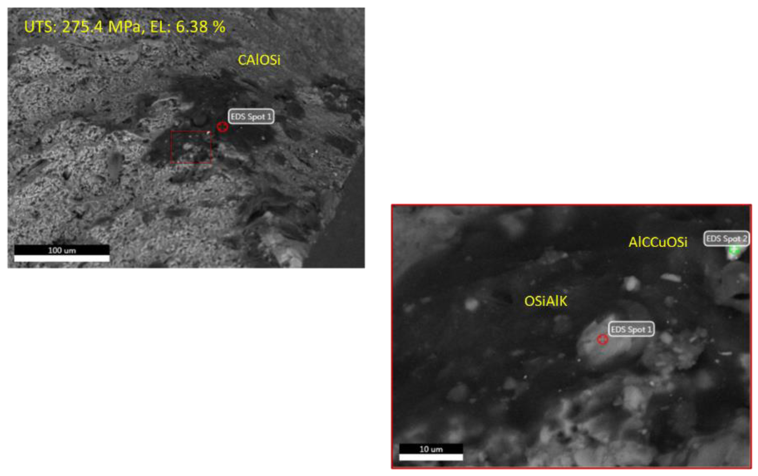 Preprints 142042 g004