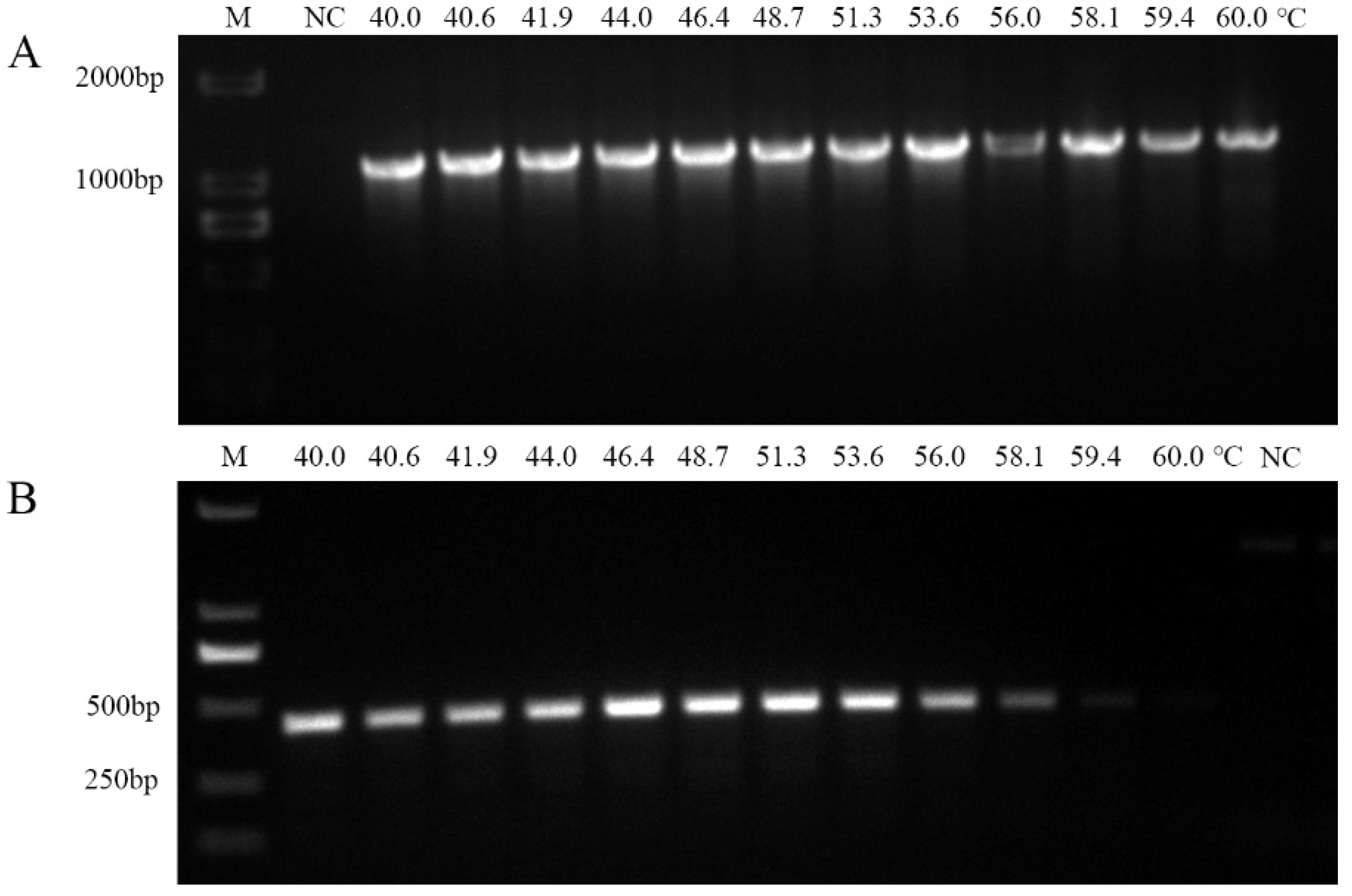 Preprints 156677 g005
