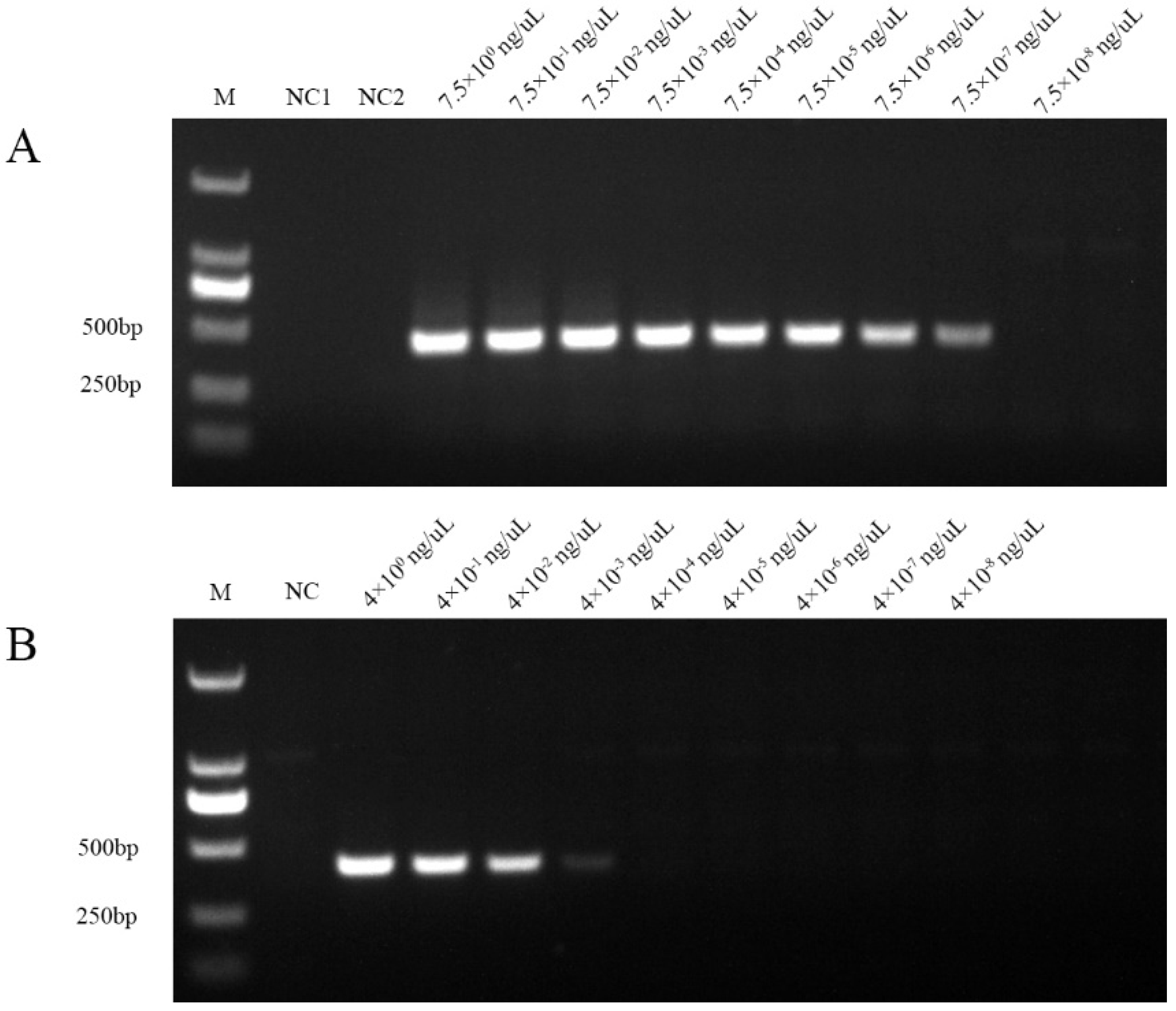 Preprints 156677 g006