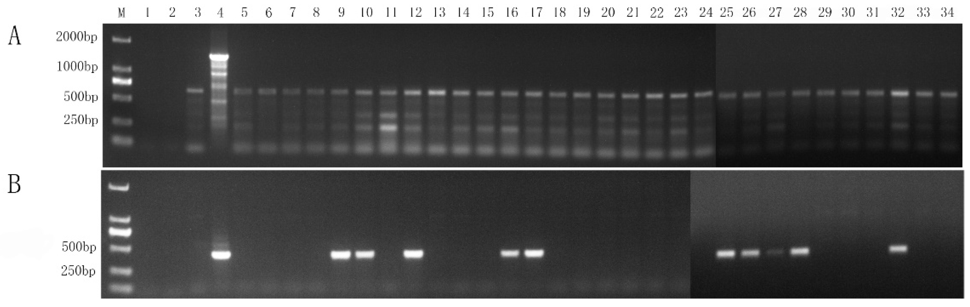 Preprints 156677 g007