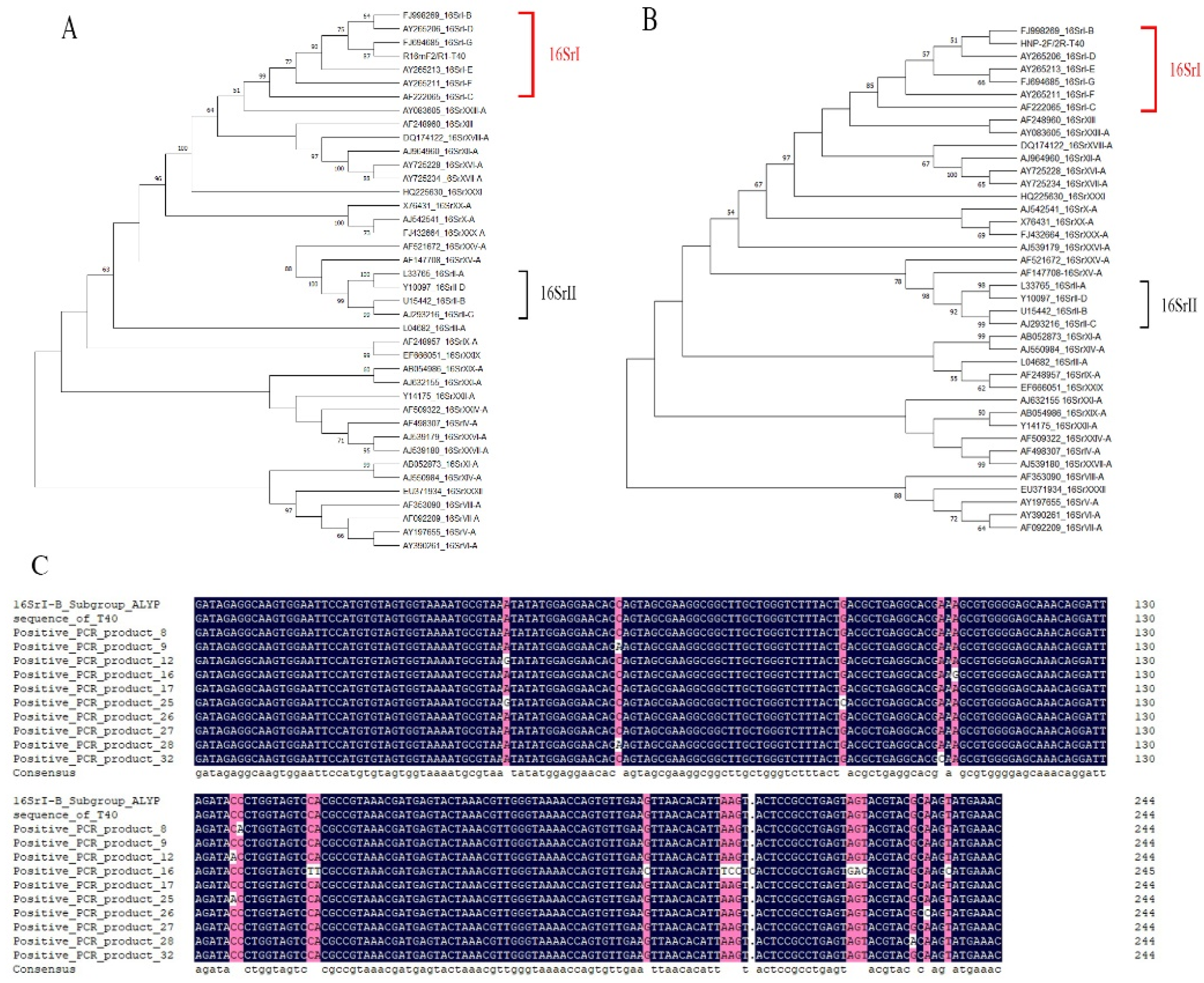 Preprints 156677 g008