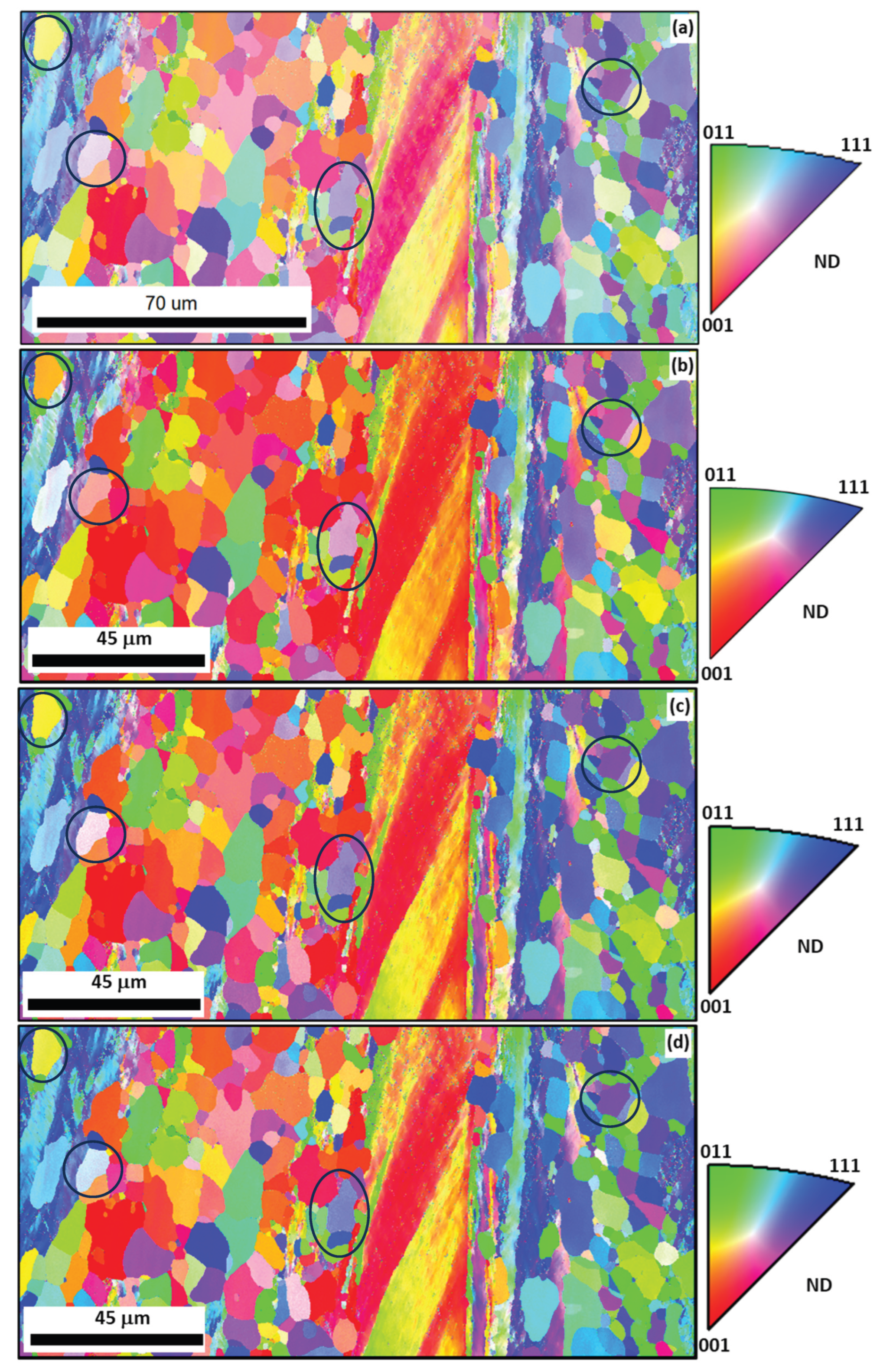 Preprints 180867 g014