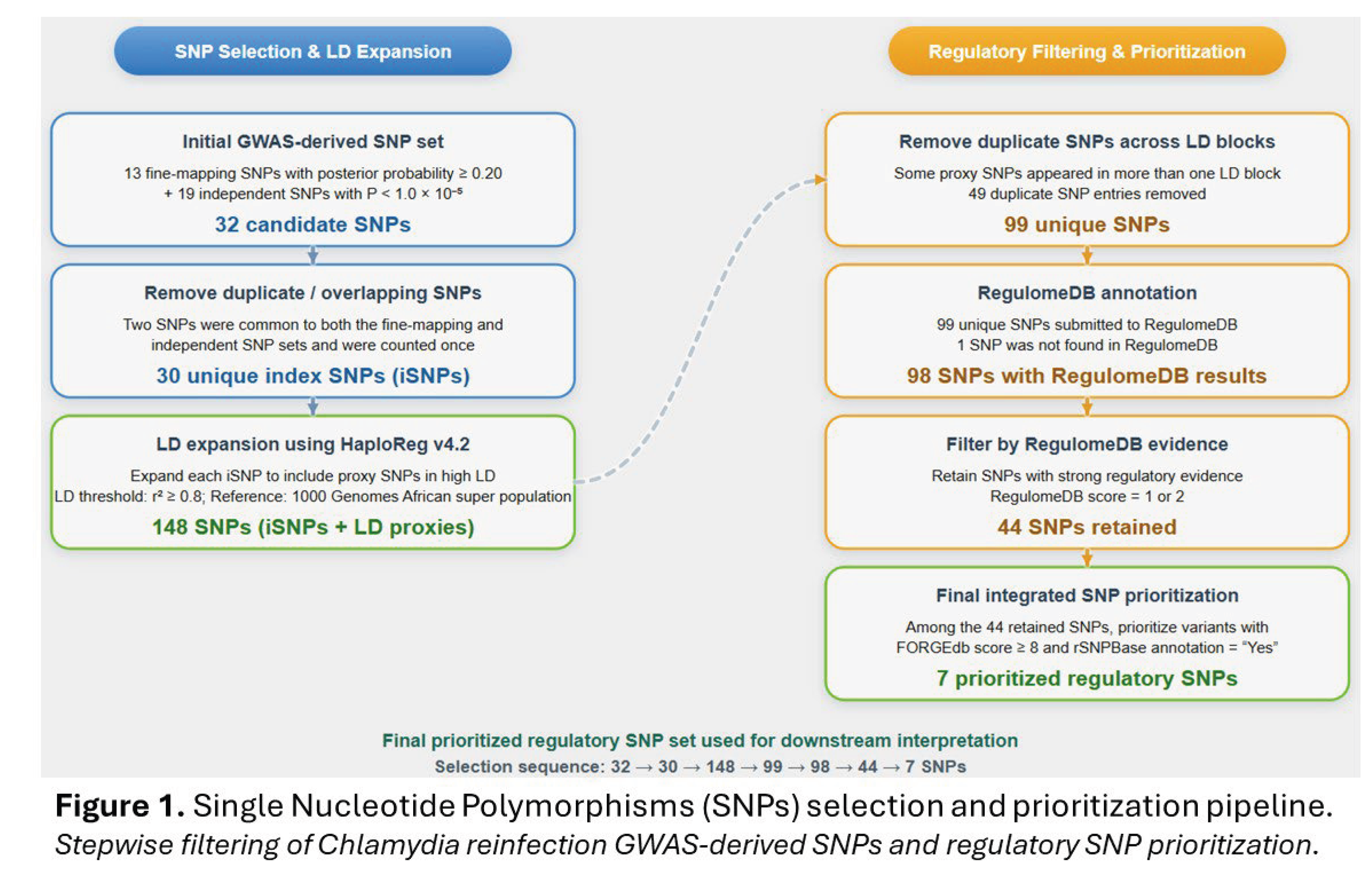 Microrna 522 Exploration of Regulatory Elements, MicroRNAs, and Copy Number ...