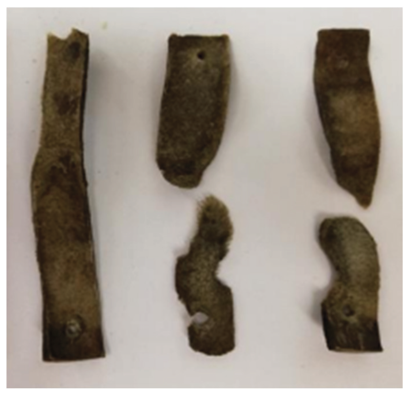 Preprints 176485 g009