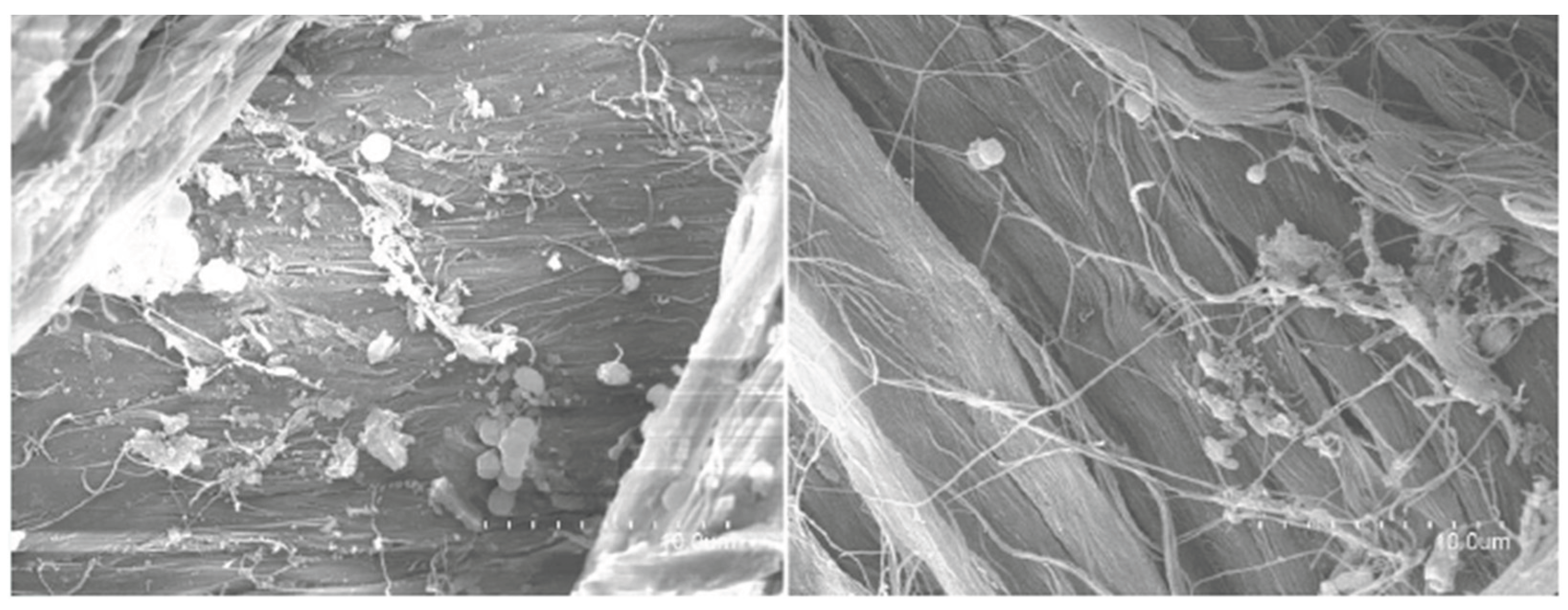 Preprints 176485 g010