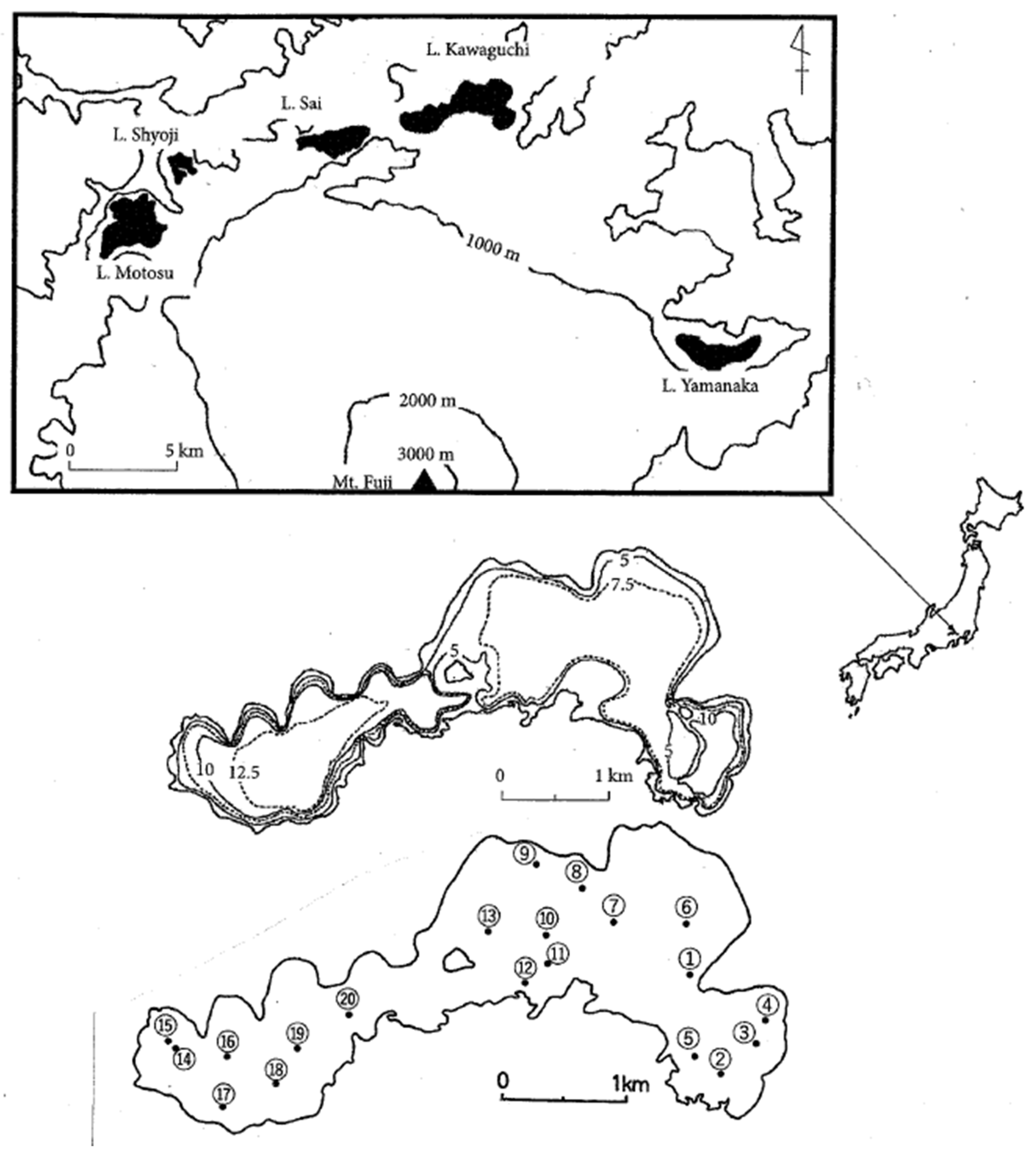 Preprints 174984 g001