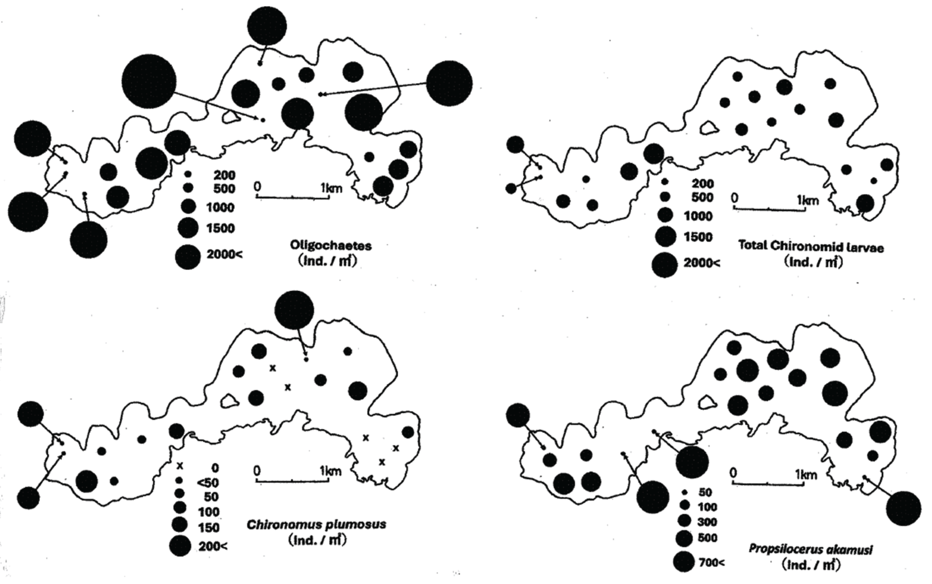 Preprints 174984 g003