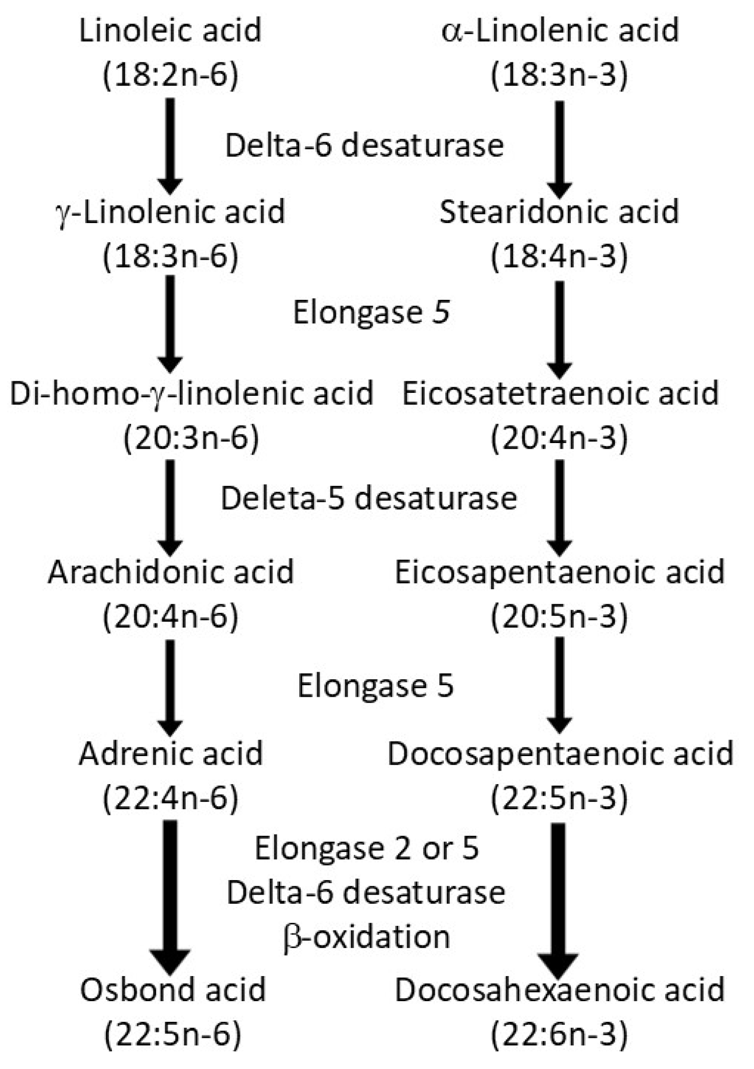 Preprints 193480 g001