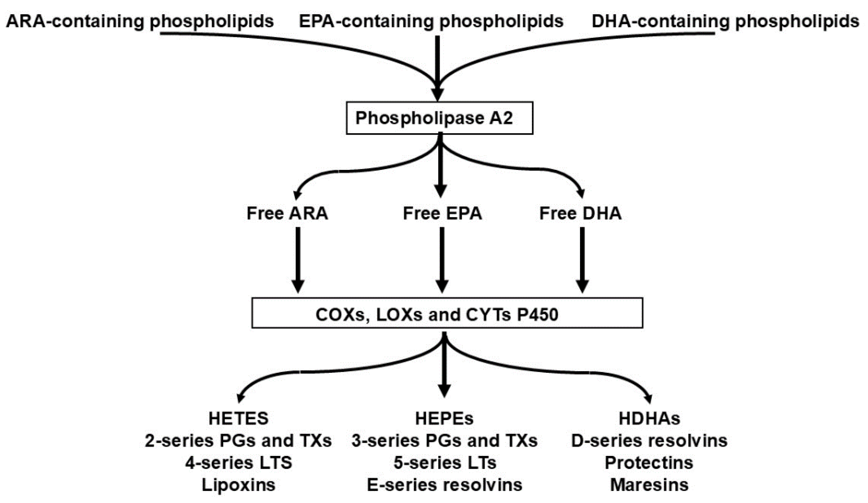 Preprints 193480 g005