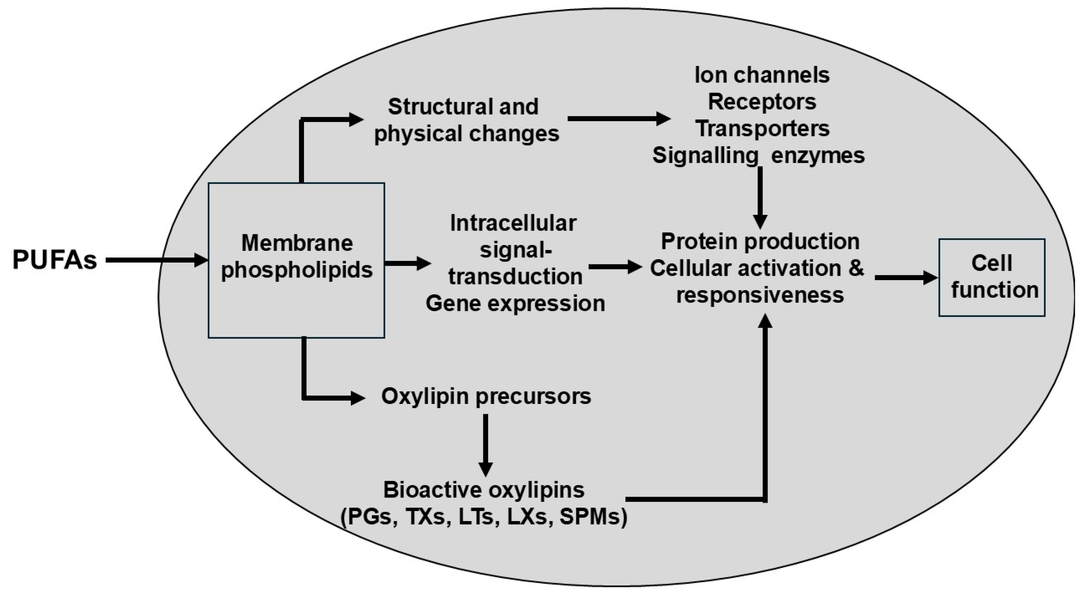 Preprints 193480 g006