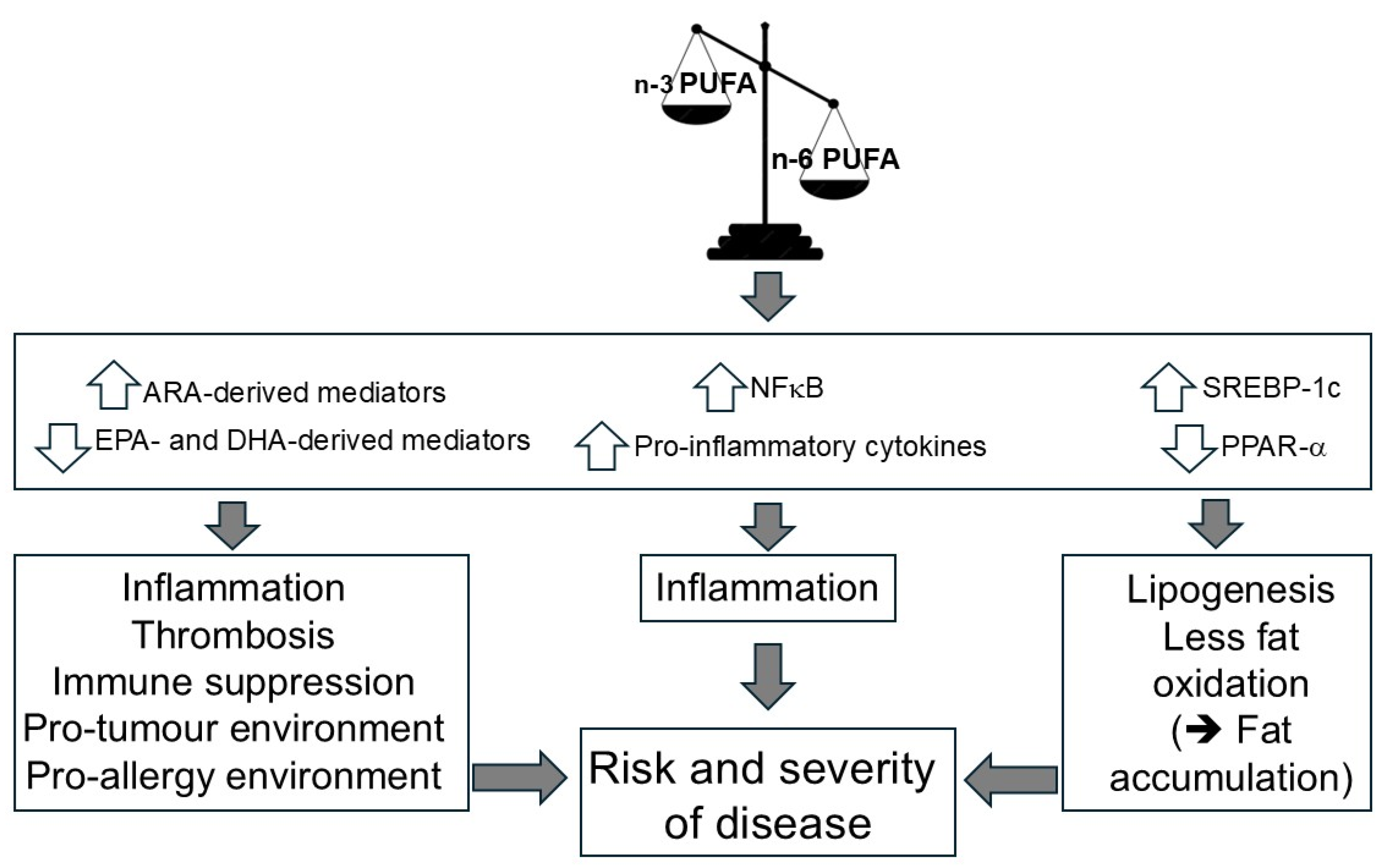 Preprints 193480 g008