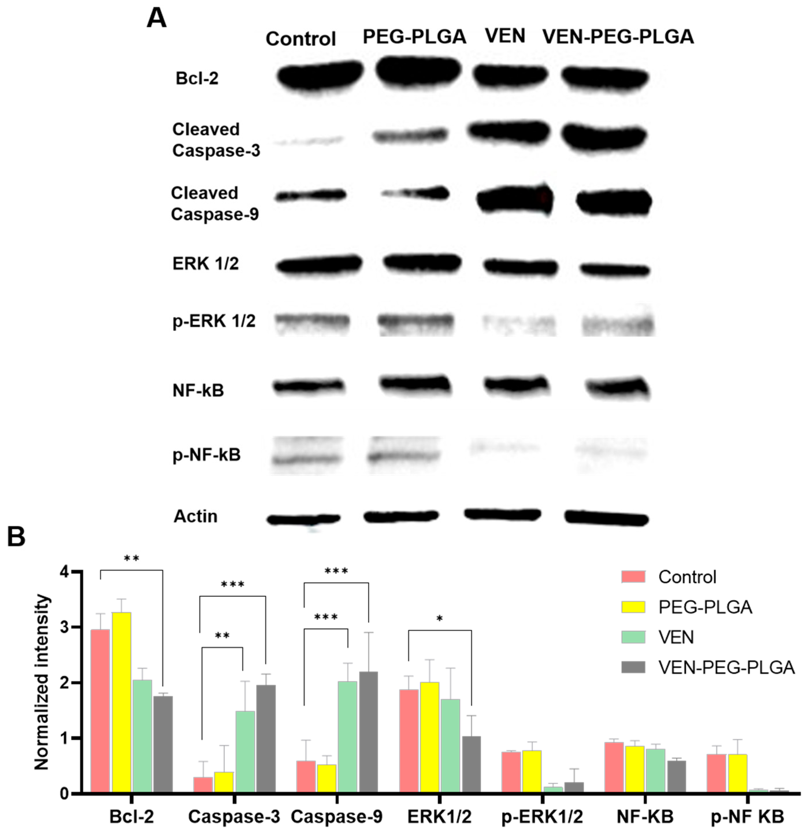 Preprints 224313 g007 Preprints 224313 g007