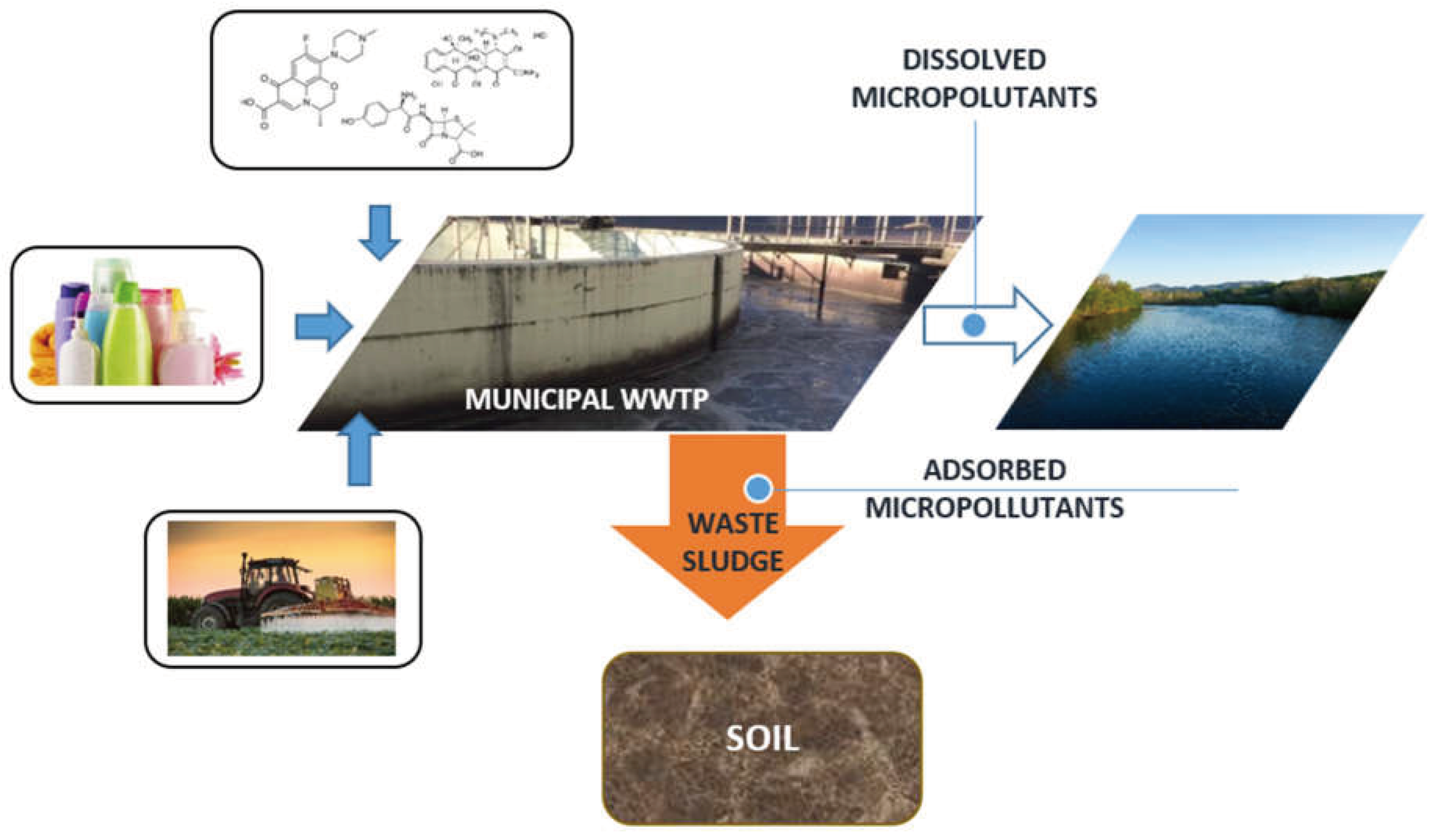 Preprints 102821 g001