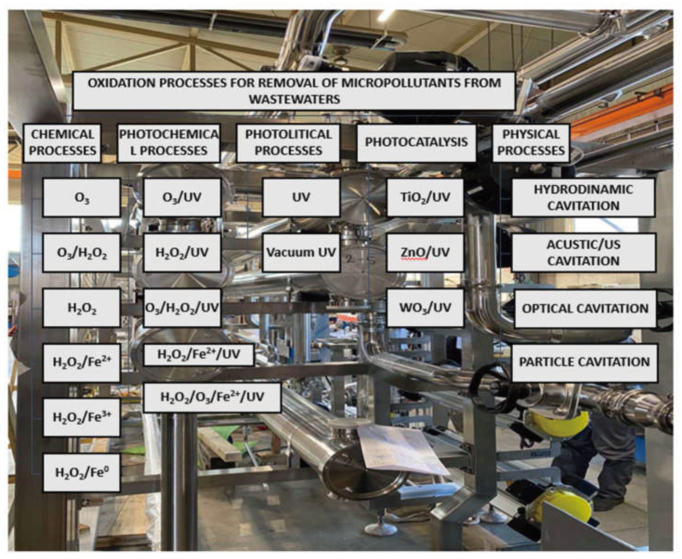 Preprints 102821 g003
