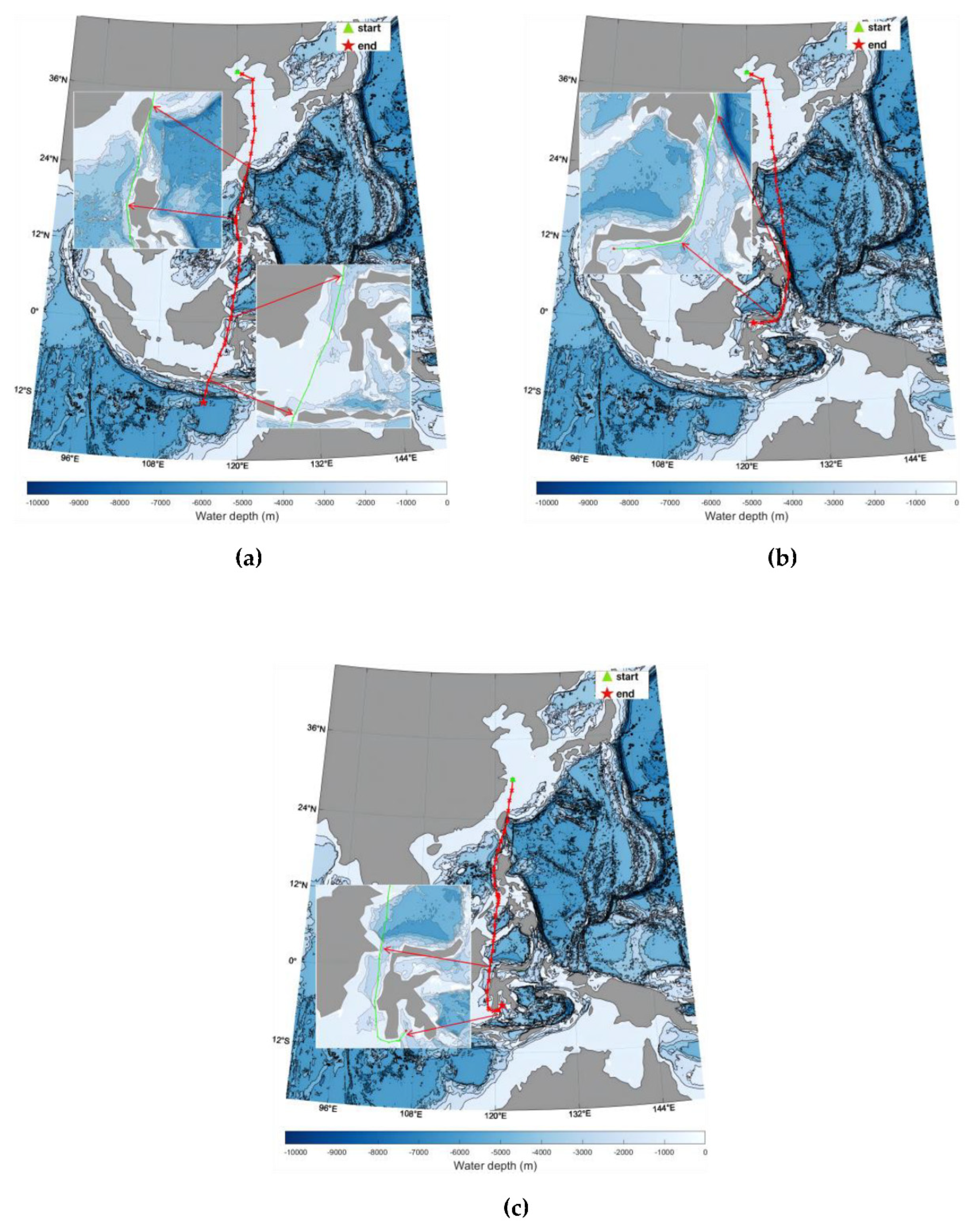 Preprints 201580 g006