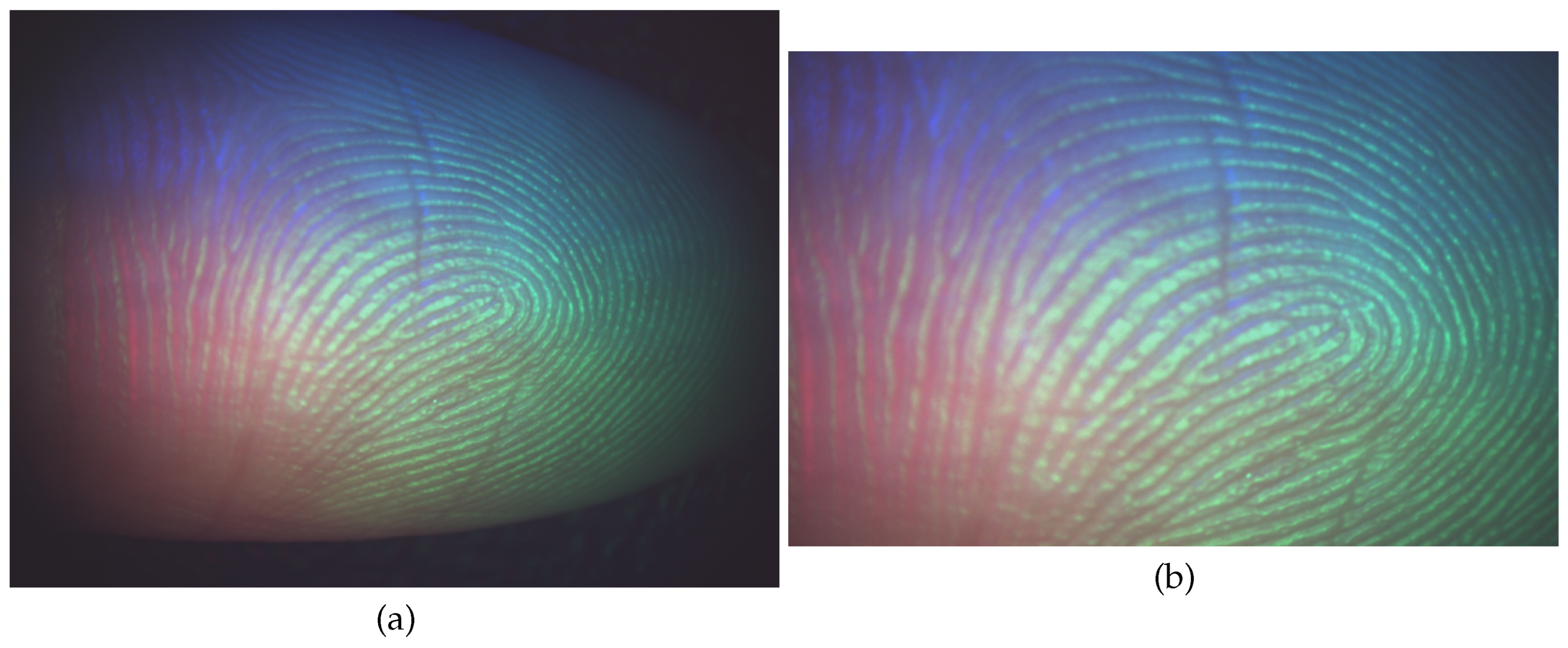 Preprints 145660 g004